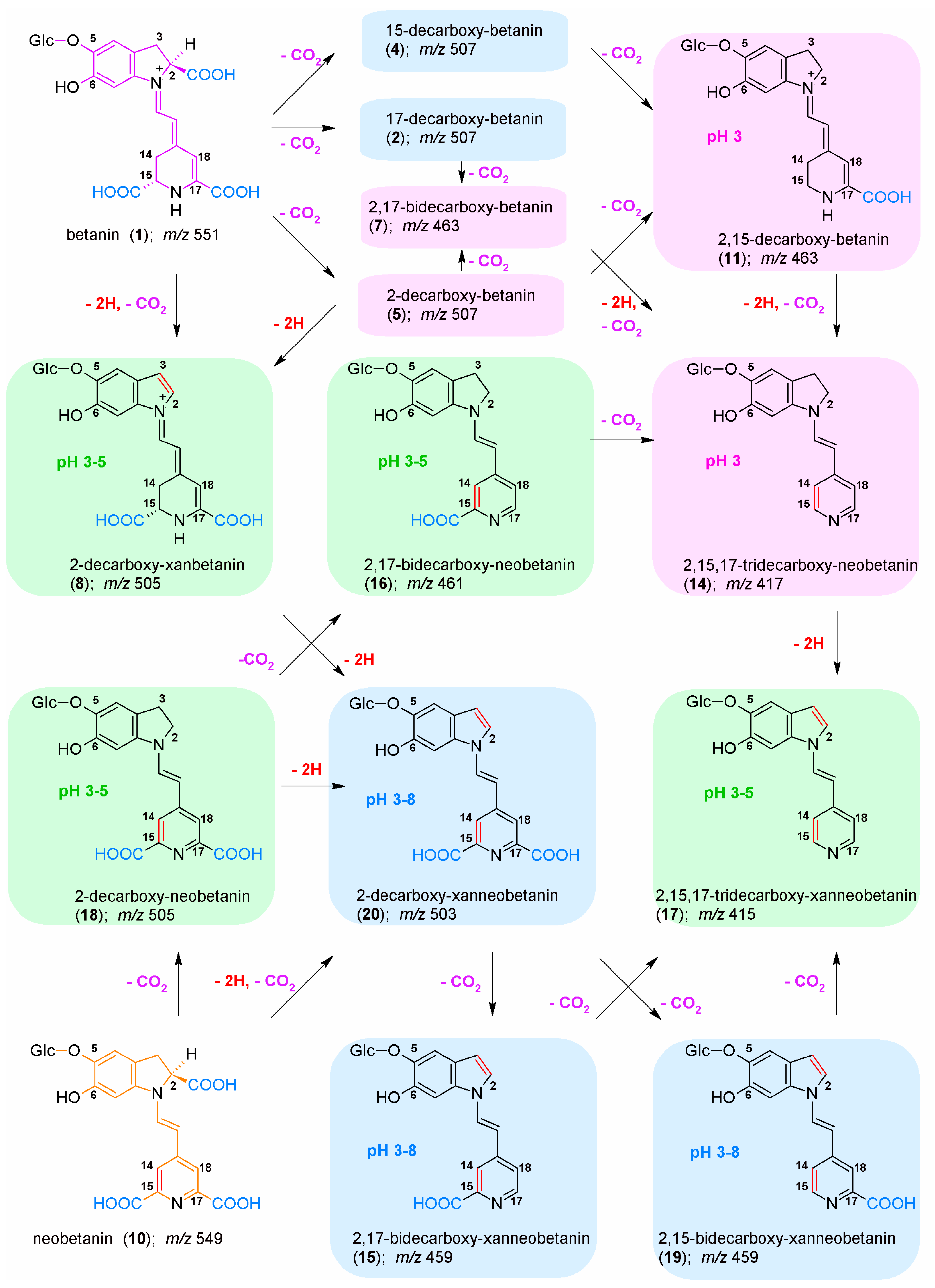 Molecules 27 09054 g014