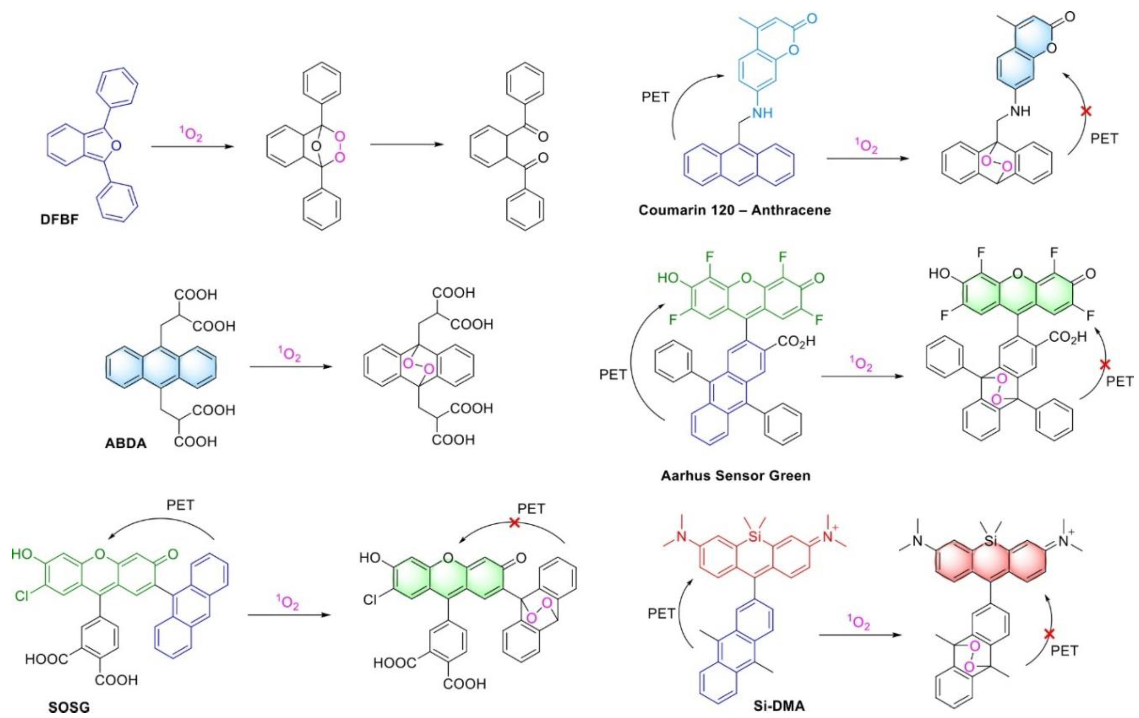 Molecules 27 09060 g001