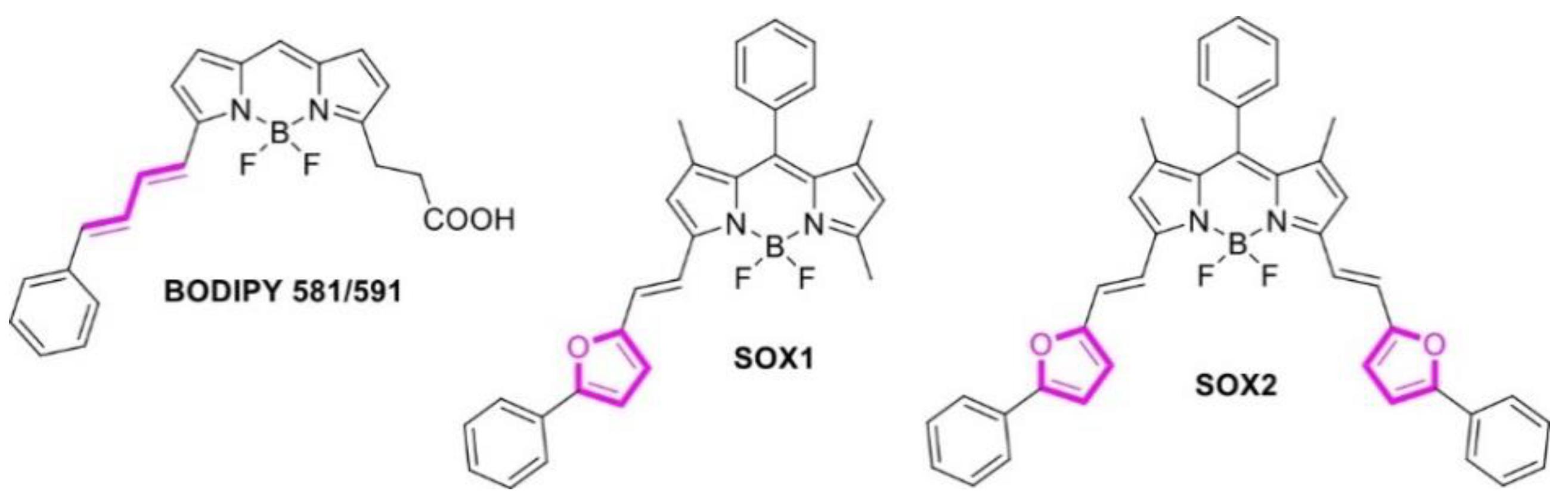 Molecules 27 09060 g002