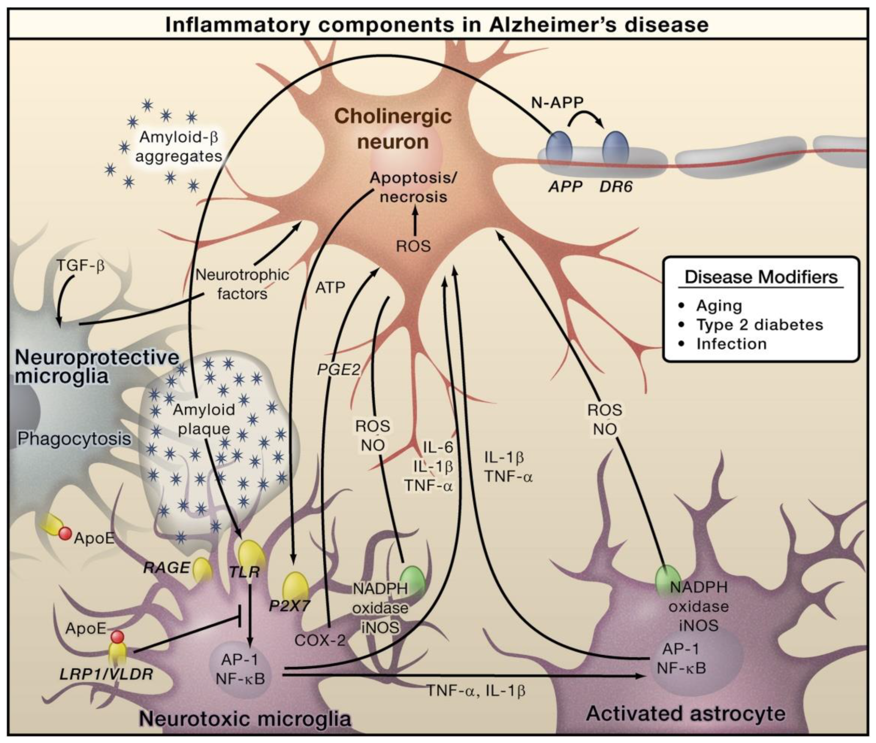 Molecules 28 00002 g001 Molecules 28 00002 g001