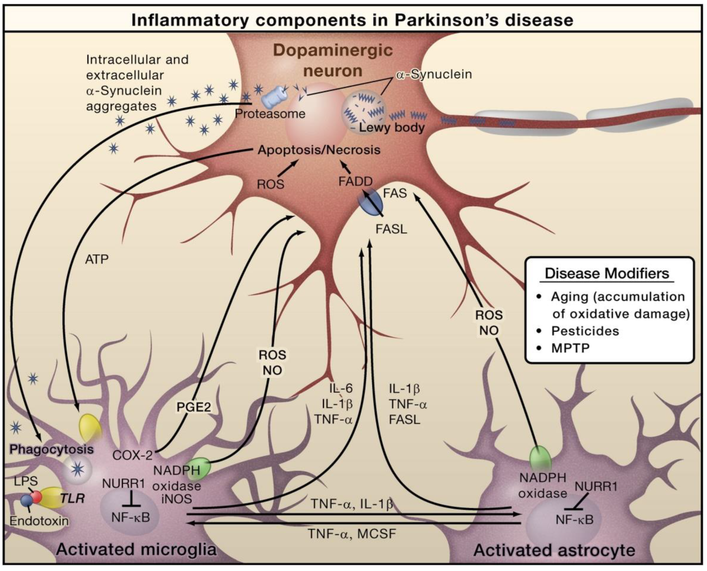 Molecules 28 00002 g003 Molecules 28 00002 g003
