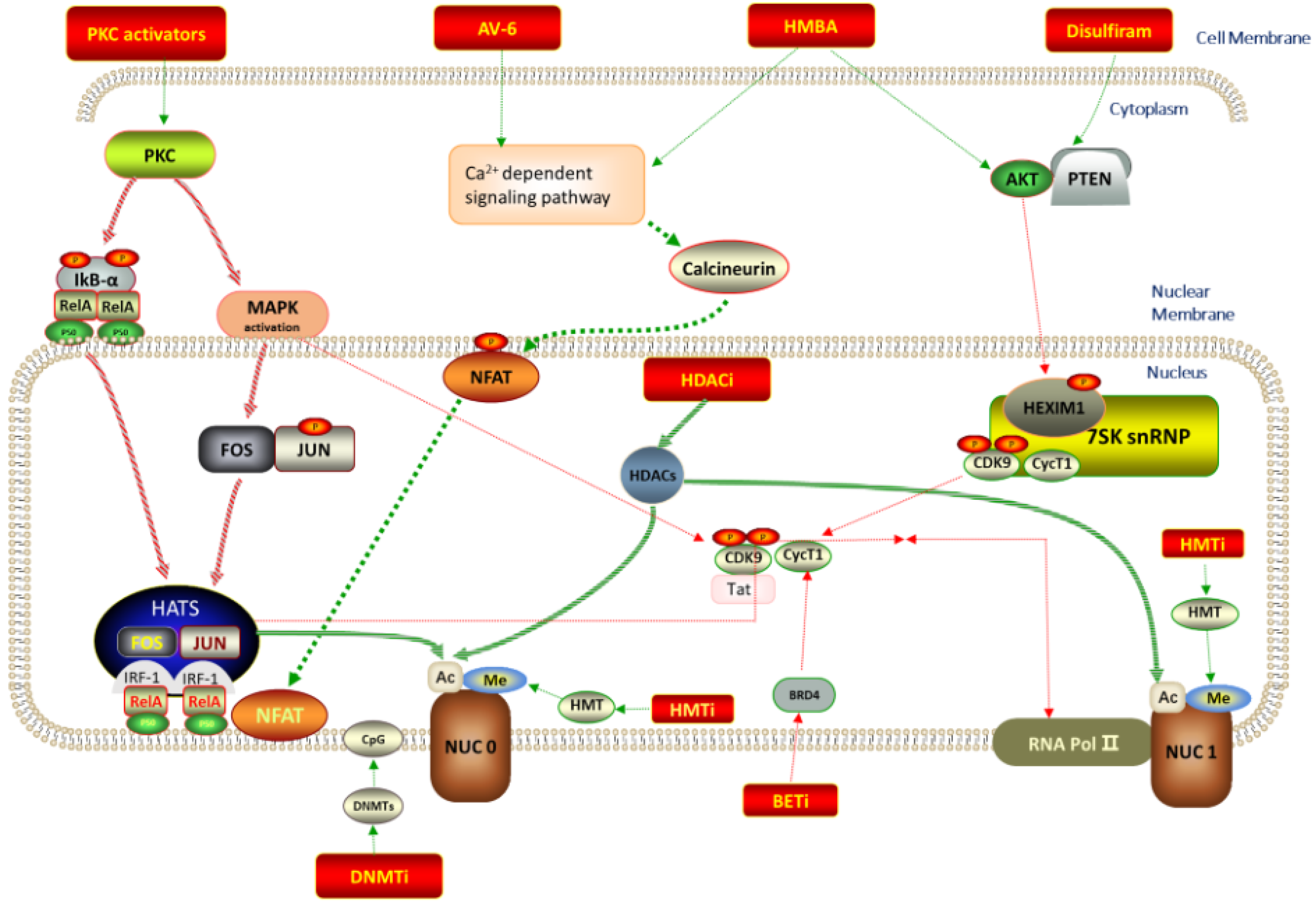 Molecules 28 00003 g001 Molecules 28 00003 g001