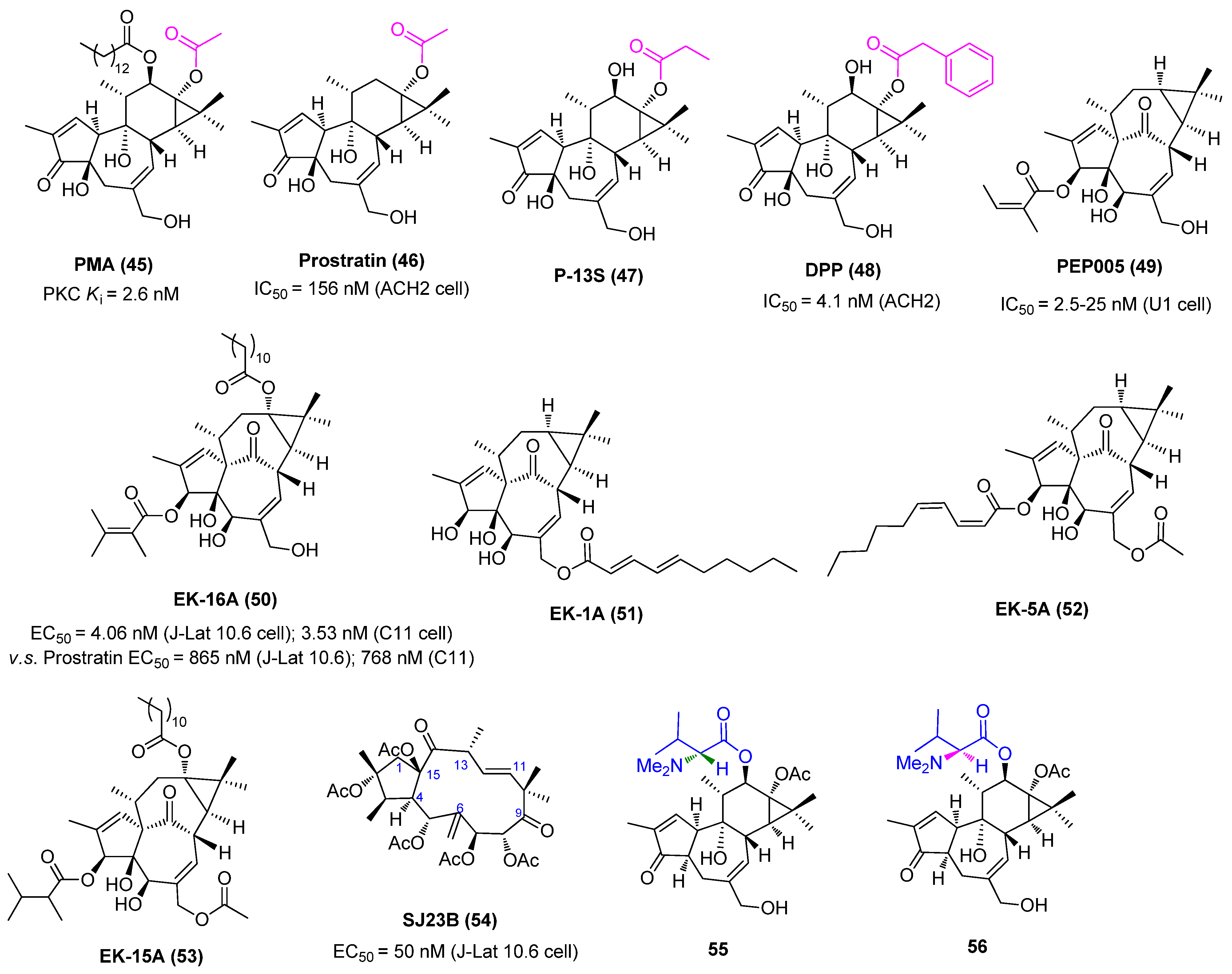 Molecules 28 00003 g011a Molecules 28 00003 g011a