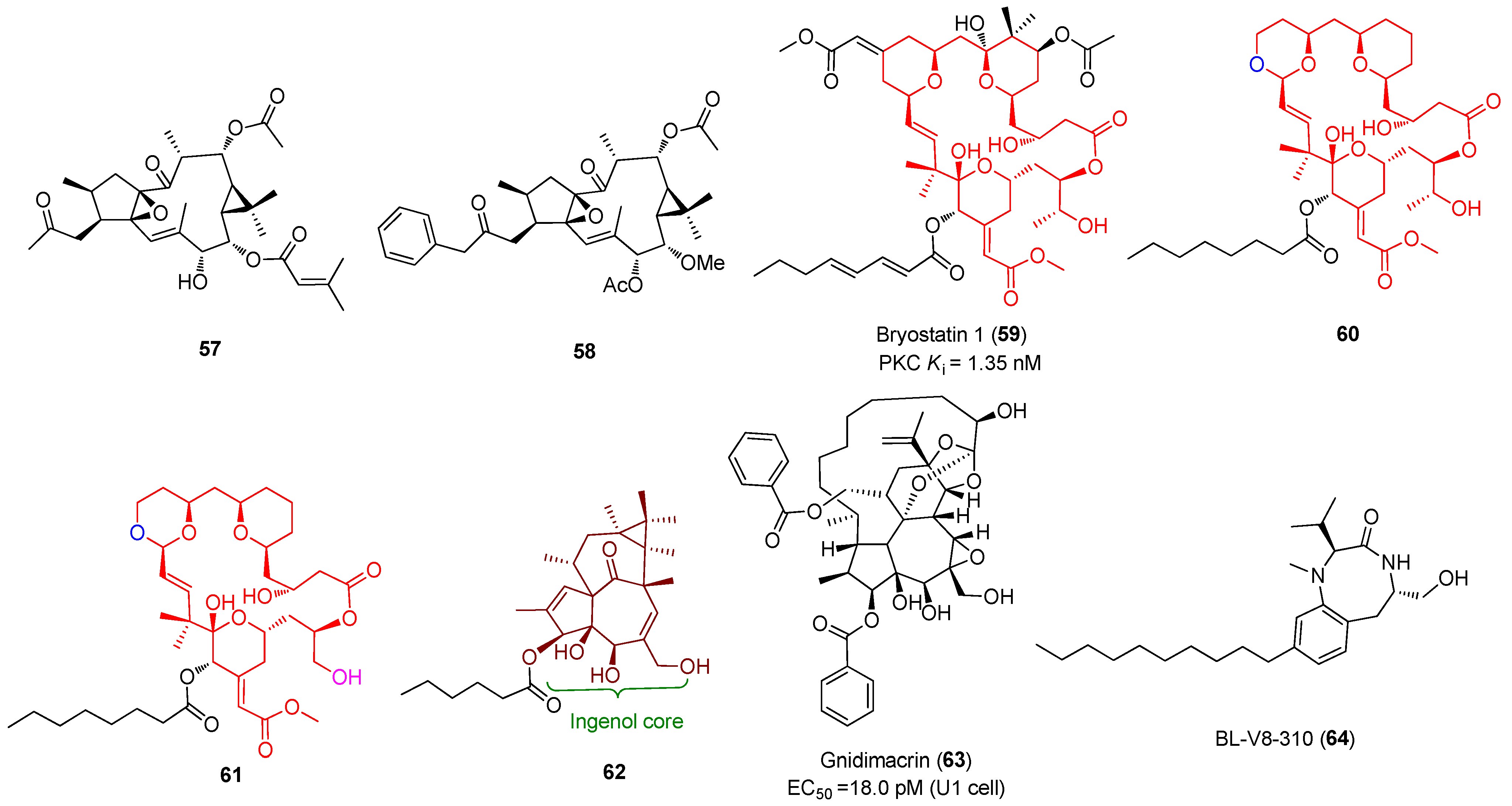 Molecules 28 00003 g011b Molecules 28 00003 g011b