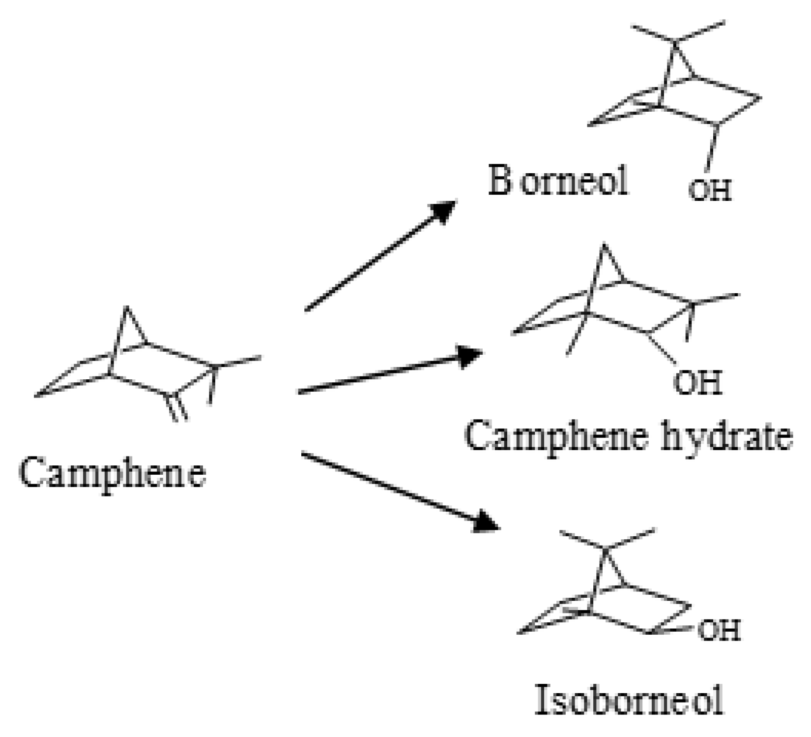 Molecules 28 00006 g001