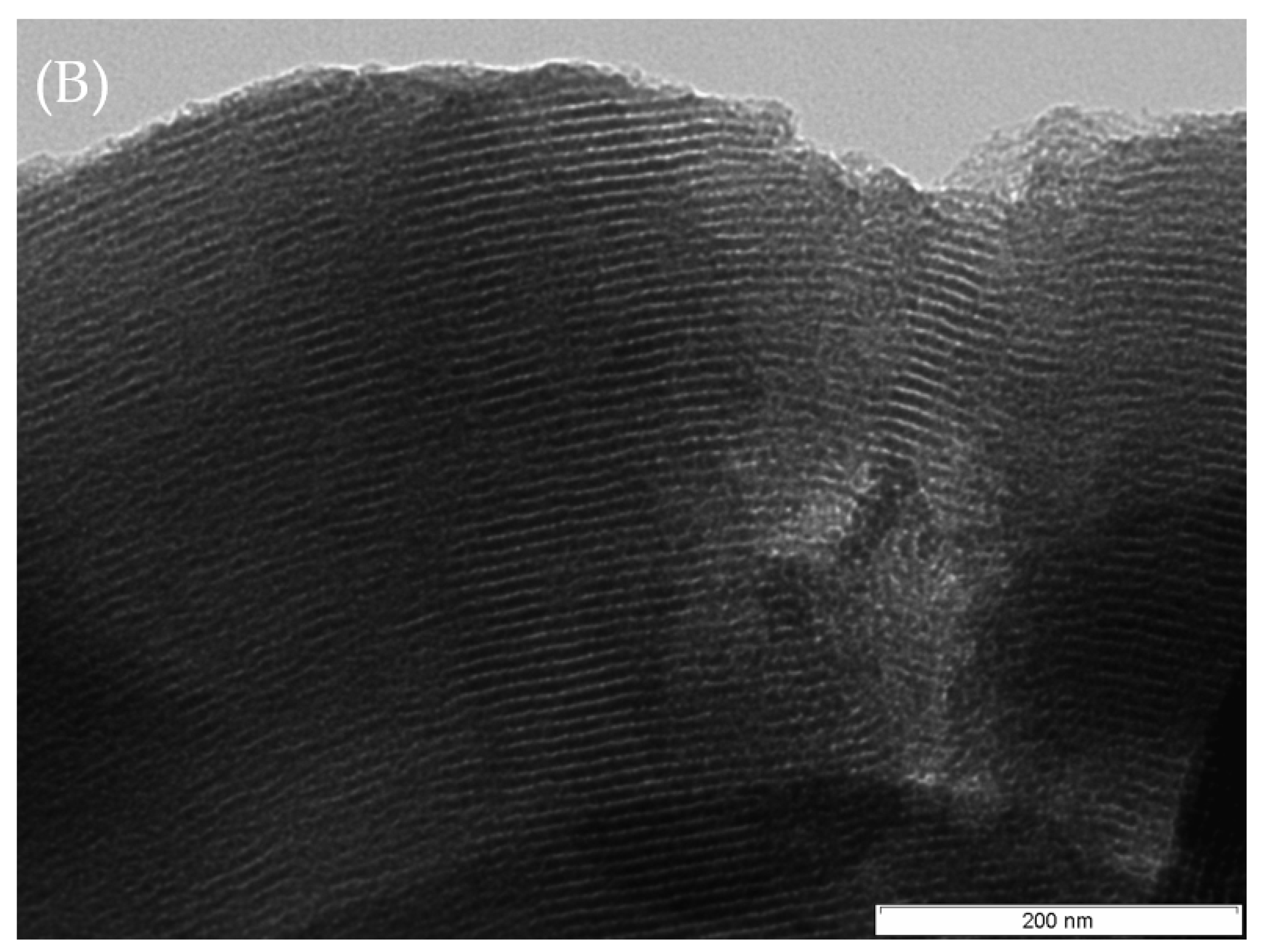 Molecules 28 00006 g005b