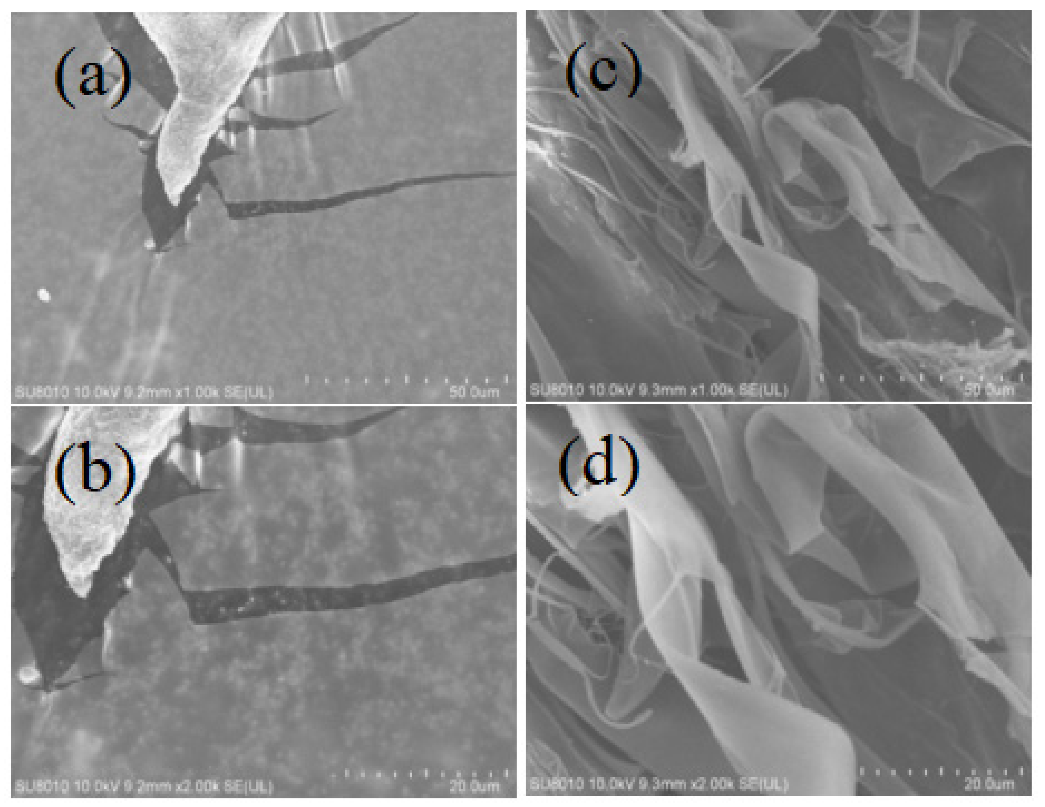 Molecules 28 00008 g001 550