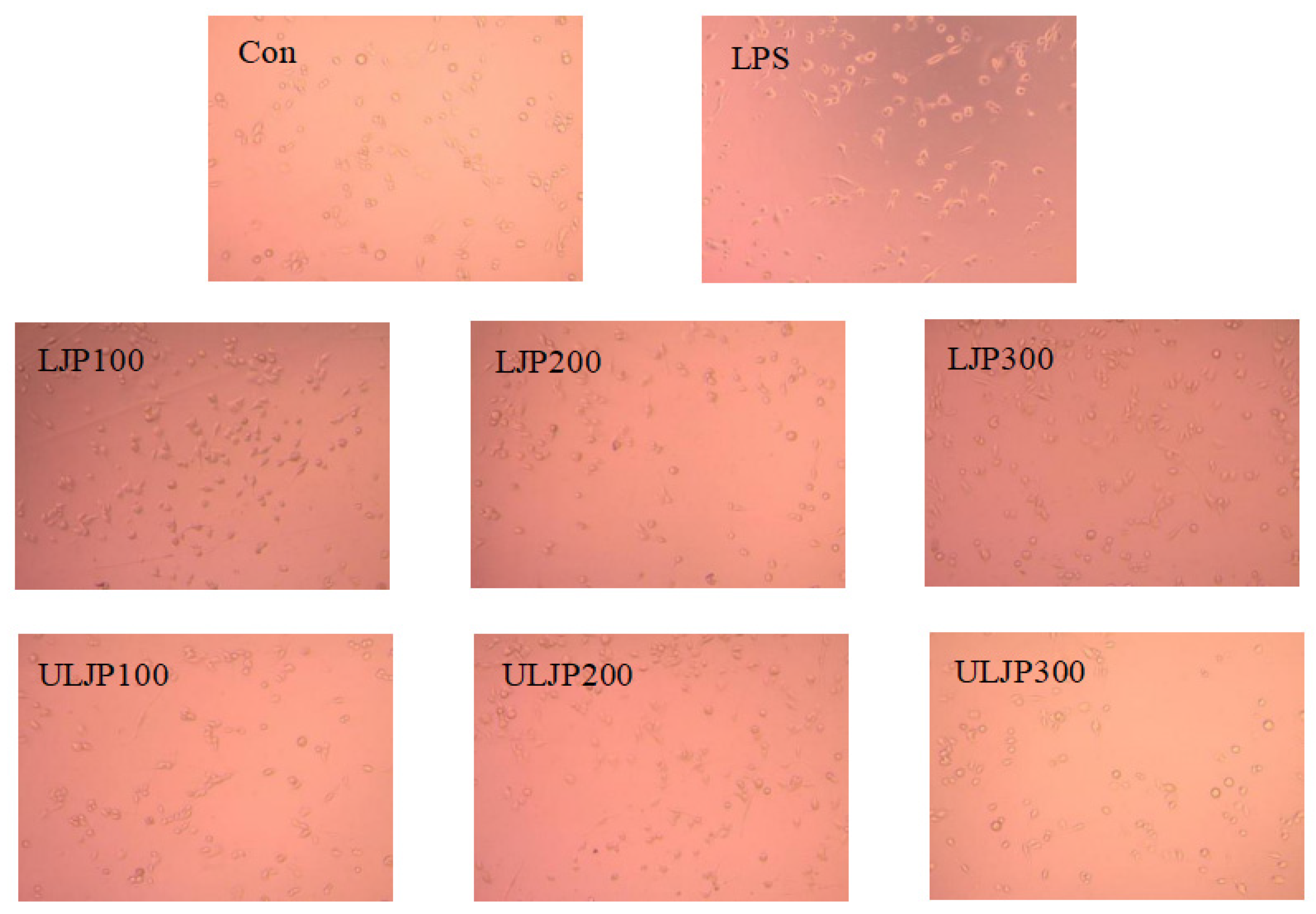 Molecules 28 00008 g007 550