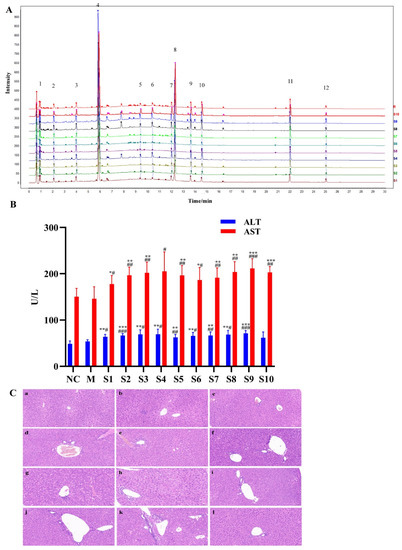 Discovery of Hepatotoxic Equivalent Markers and Mechanism of