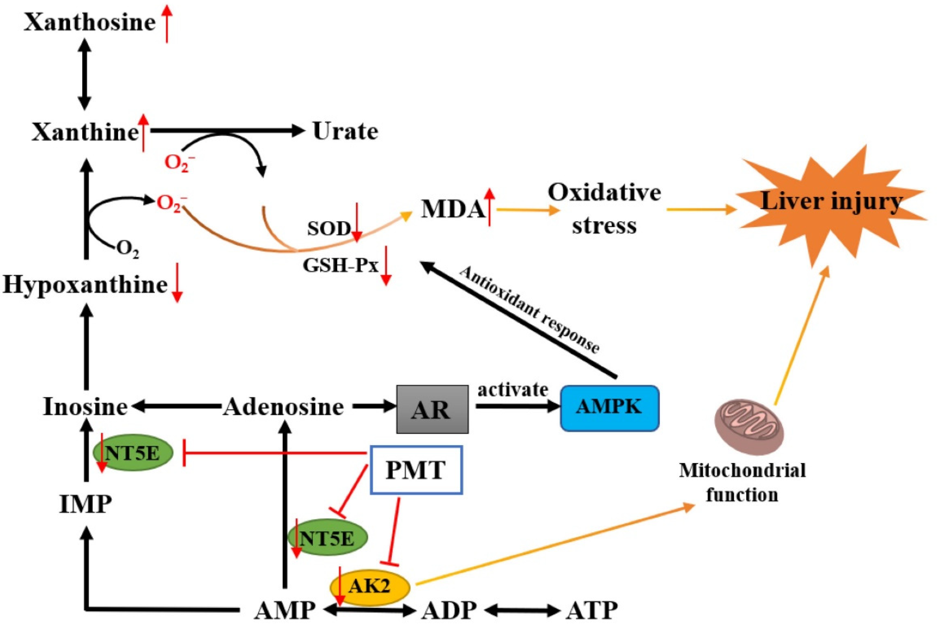 Molecules 28 00025 g009 Molecules 28 00025 g009