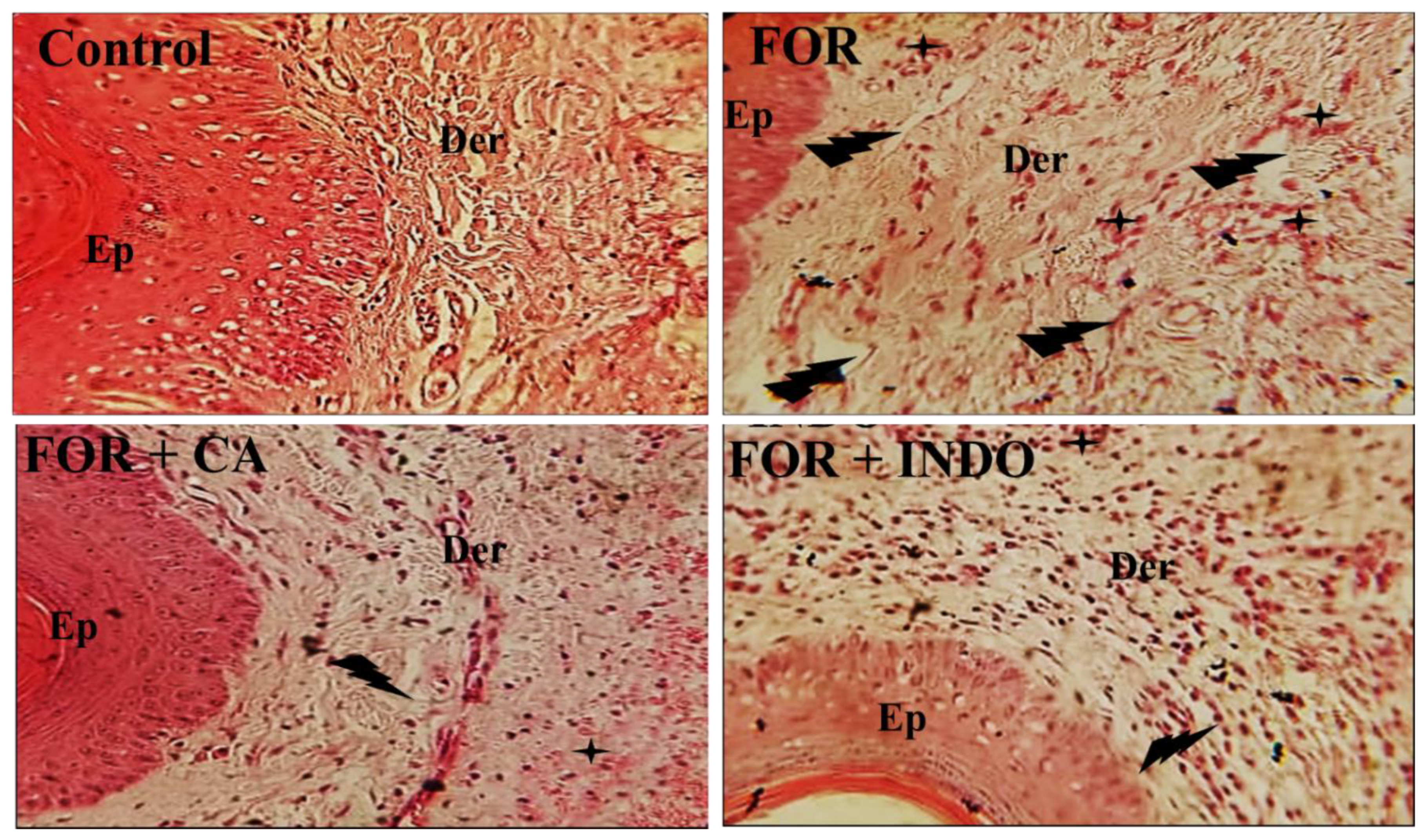Molecules 28 00026 g004 Molecules 28 00026 g004