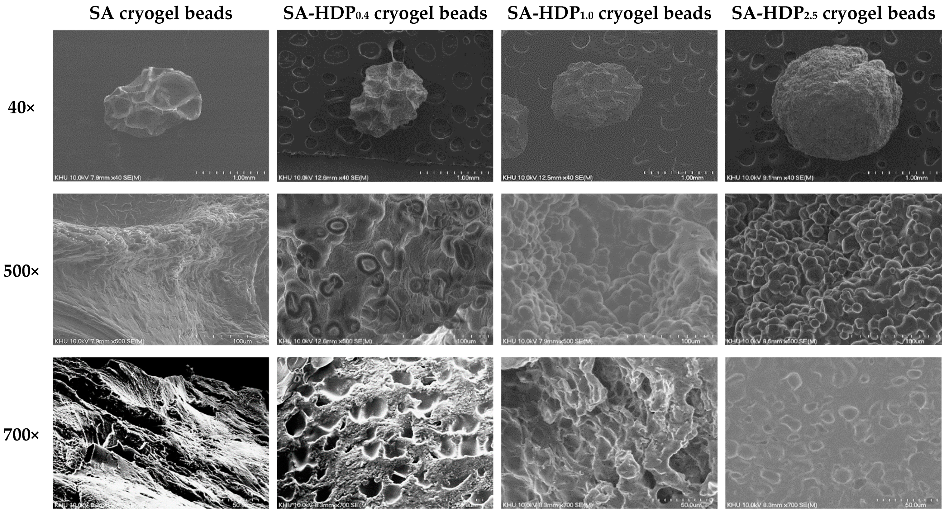 Molecules 28 00031 g001