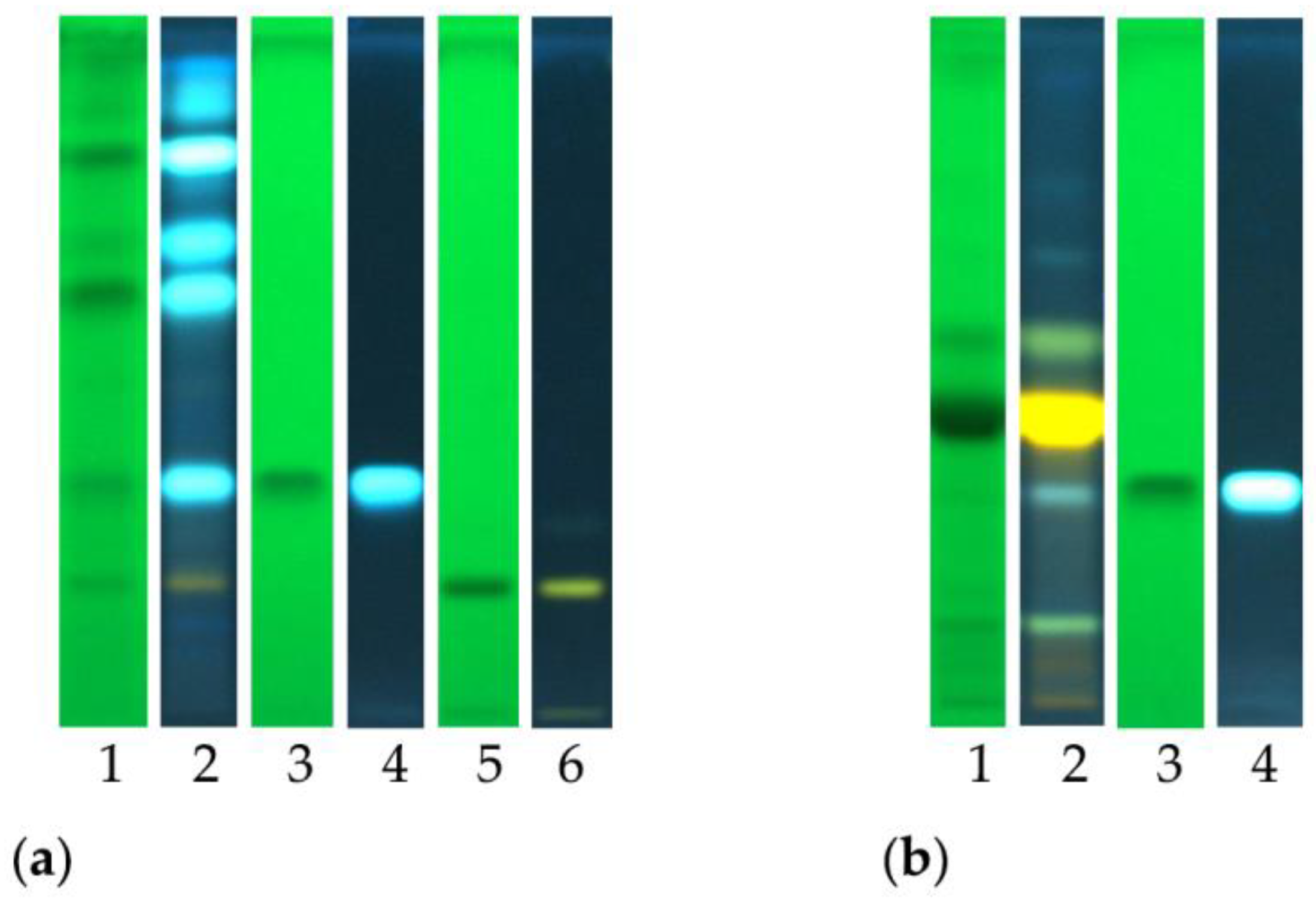 Molecules 28 00032 g002 Molecules 28 00032 g002