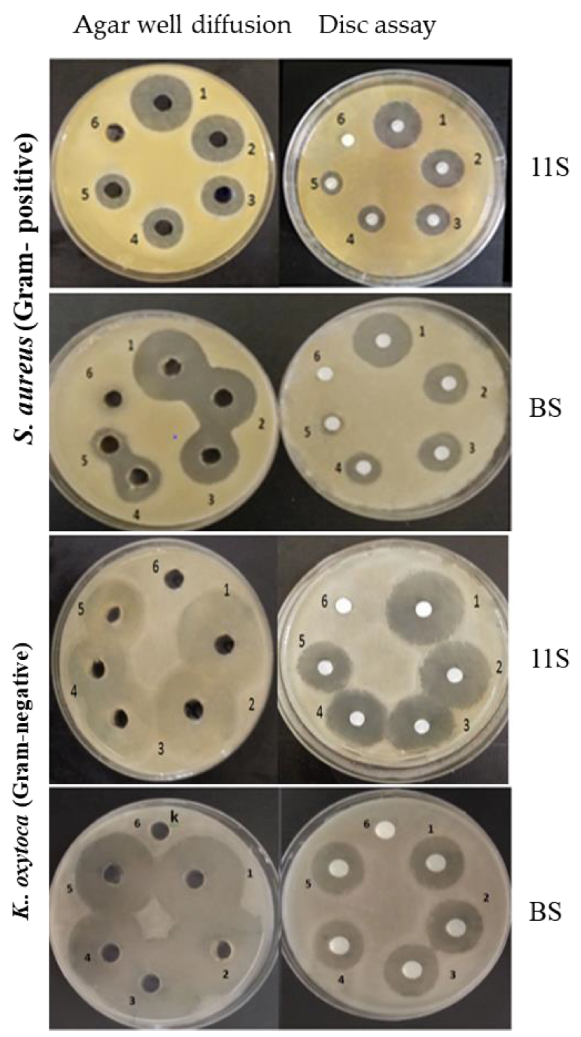Molecules 28 00035 g006 Molecules 28 00035 g006