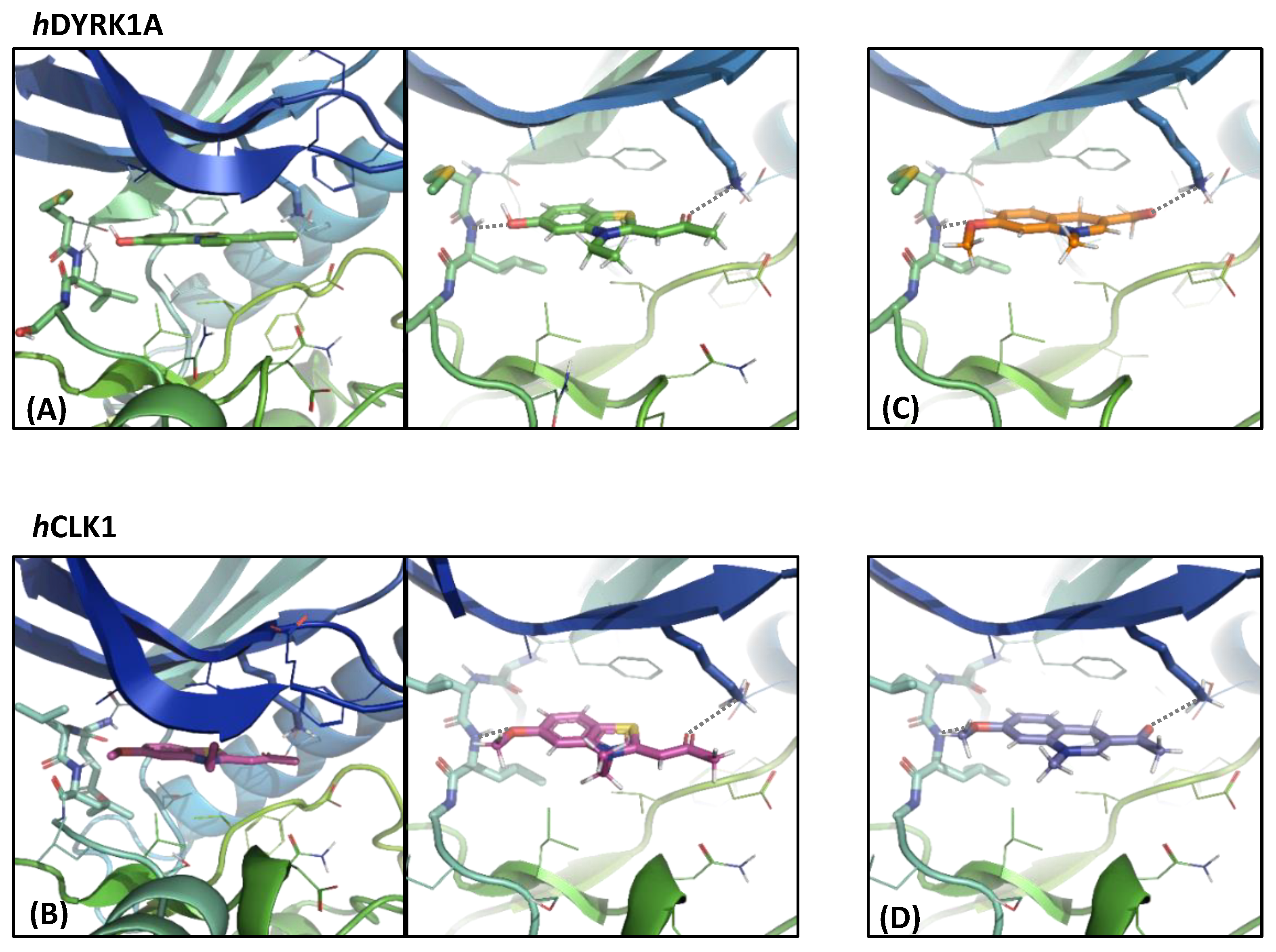 Molecules 28 00036 g003