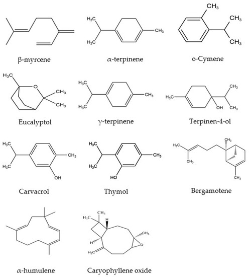 Fabrication and Characterization of β-Cyclodextrin/Mosla Chinensis  Essential Oil Inclusion Complexes: Experimental Design and Molecular  Modeling