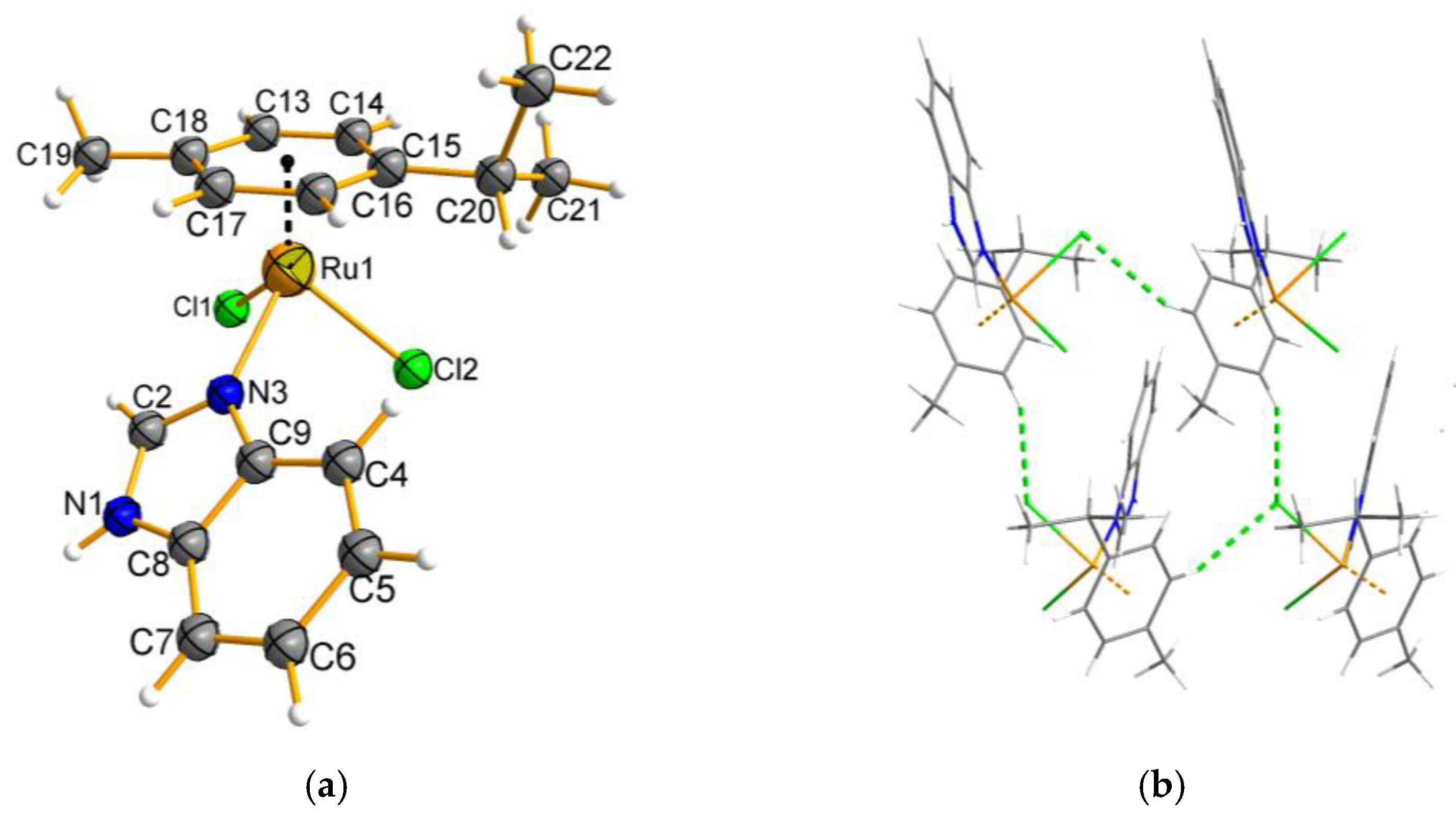 Molecules 28 00040 g002