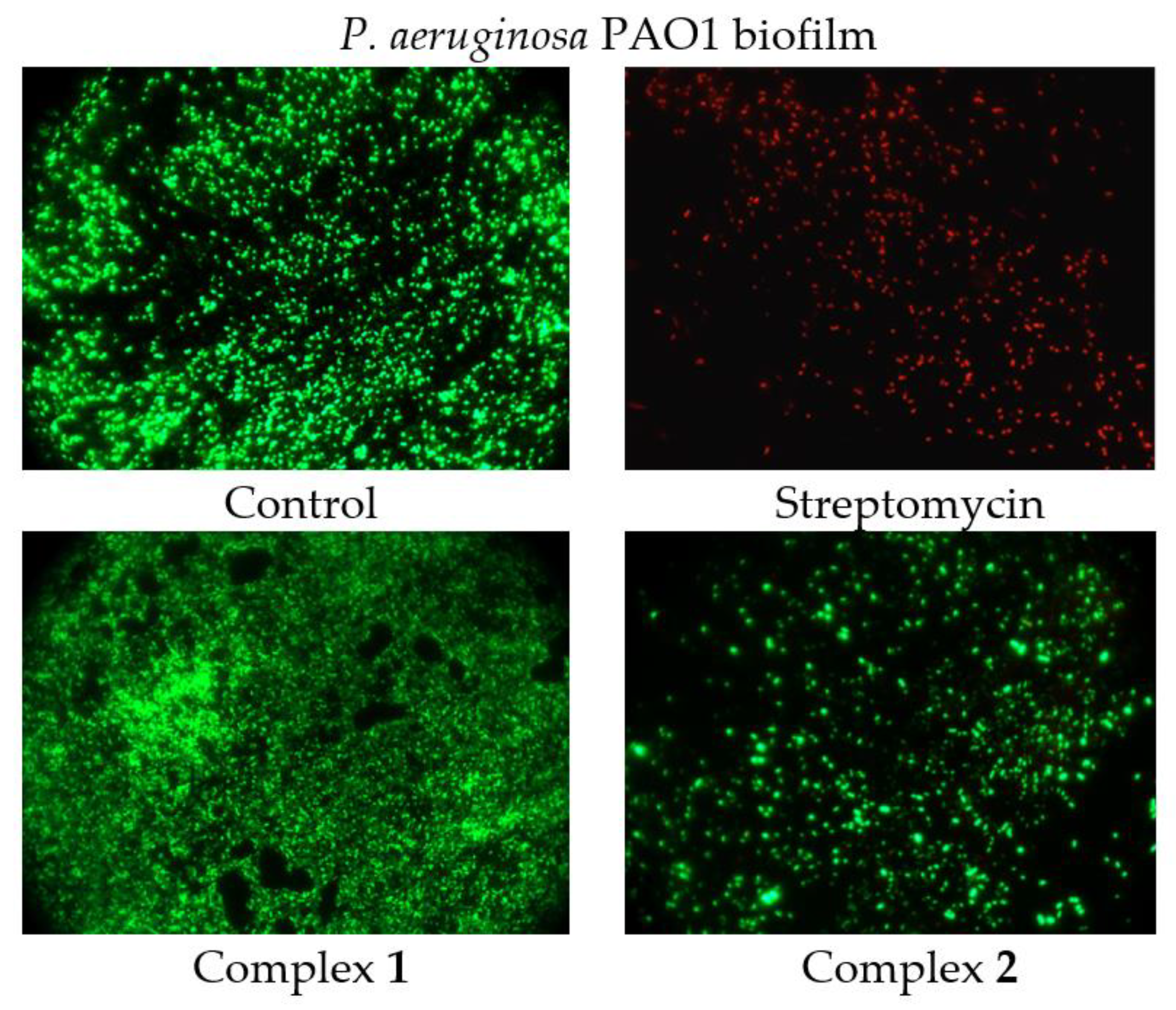Molecules 28 00040 g007