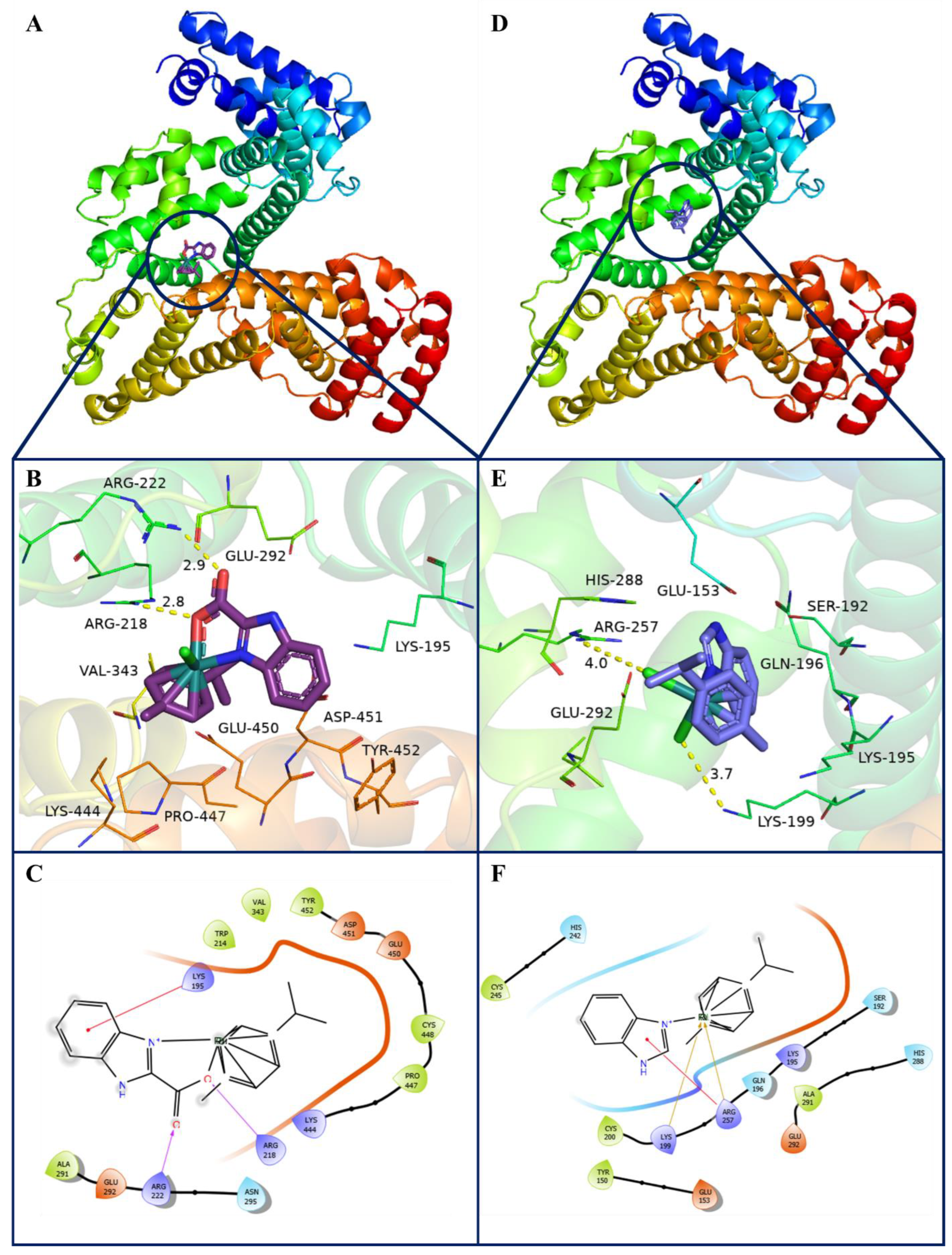 Molecules 28 00040 g008