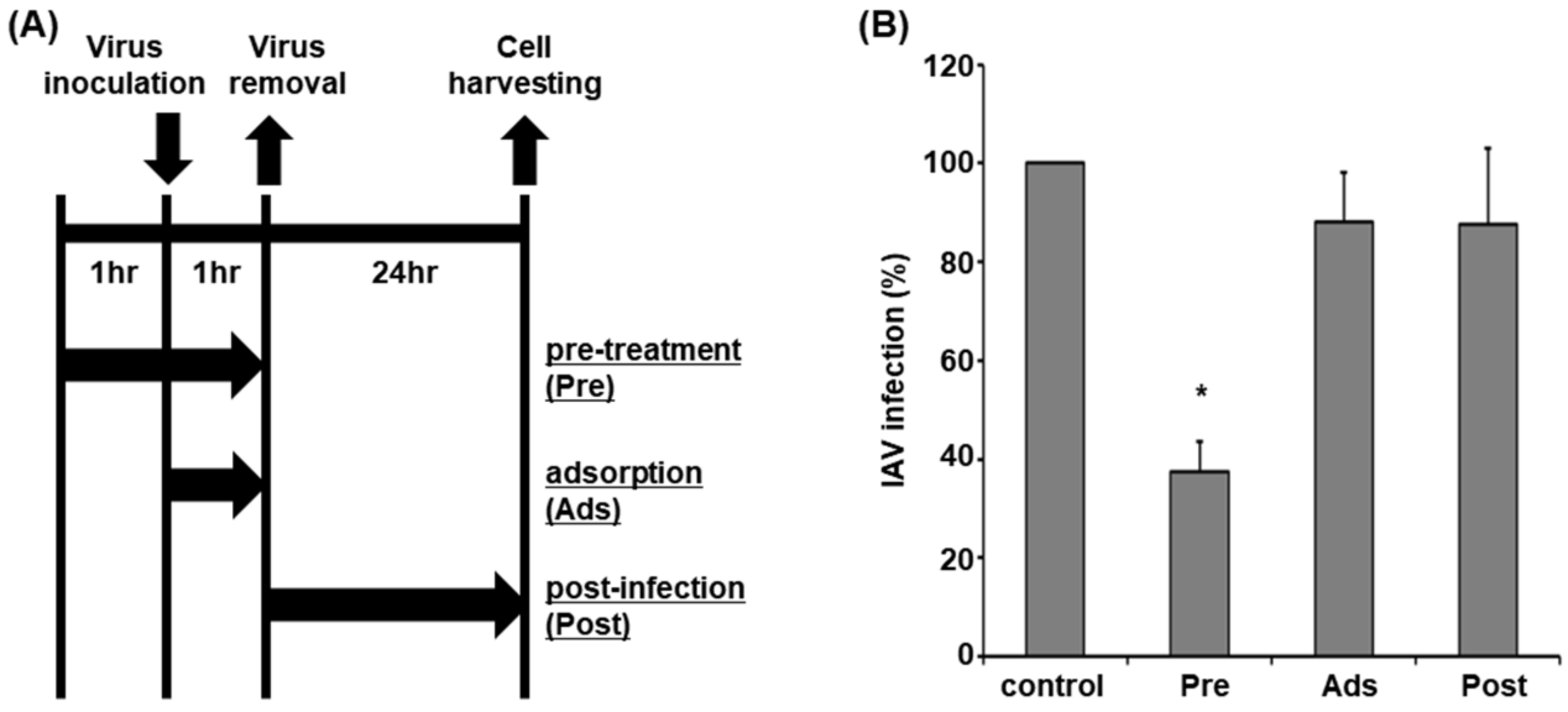 Molecules 28 00041 g001 Molecules 28 00041 g001