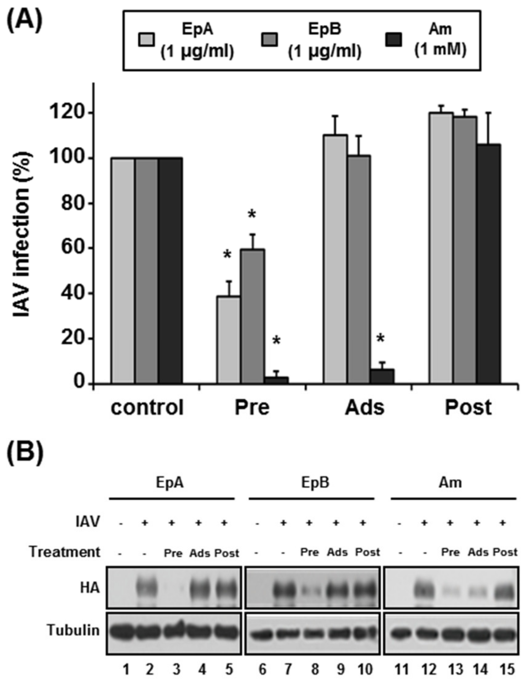 Molecules 28 00041 g003 Molecules 28 00041 g003