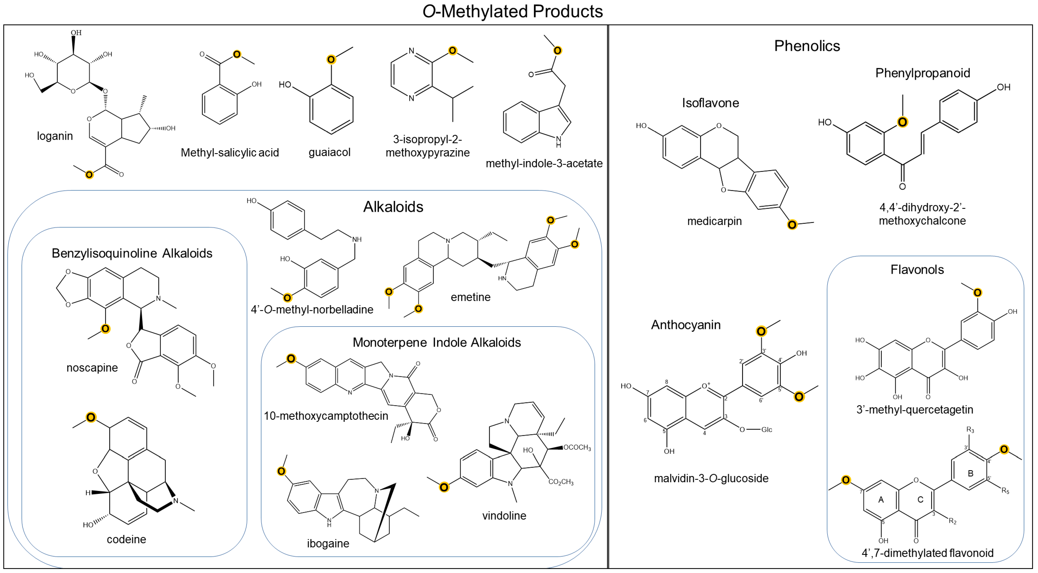 Molecules 28 00043 g001