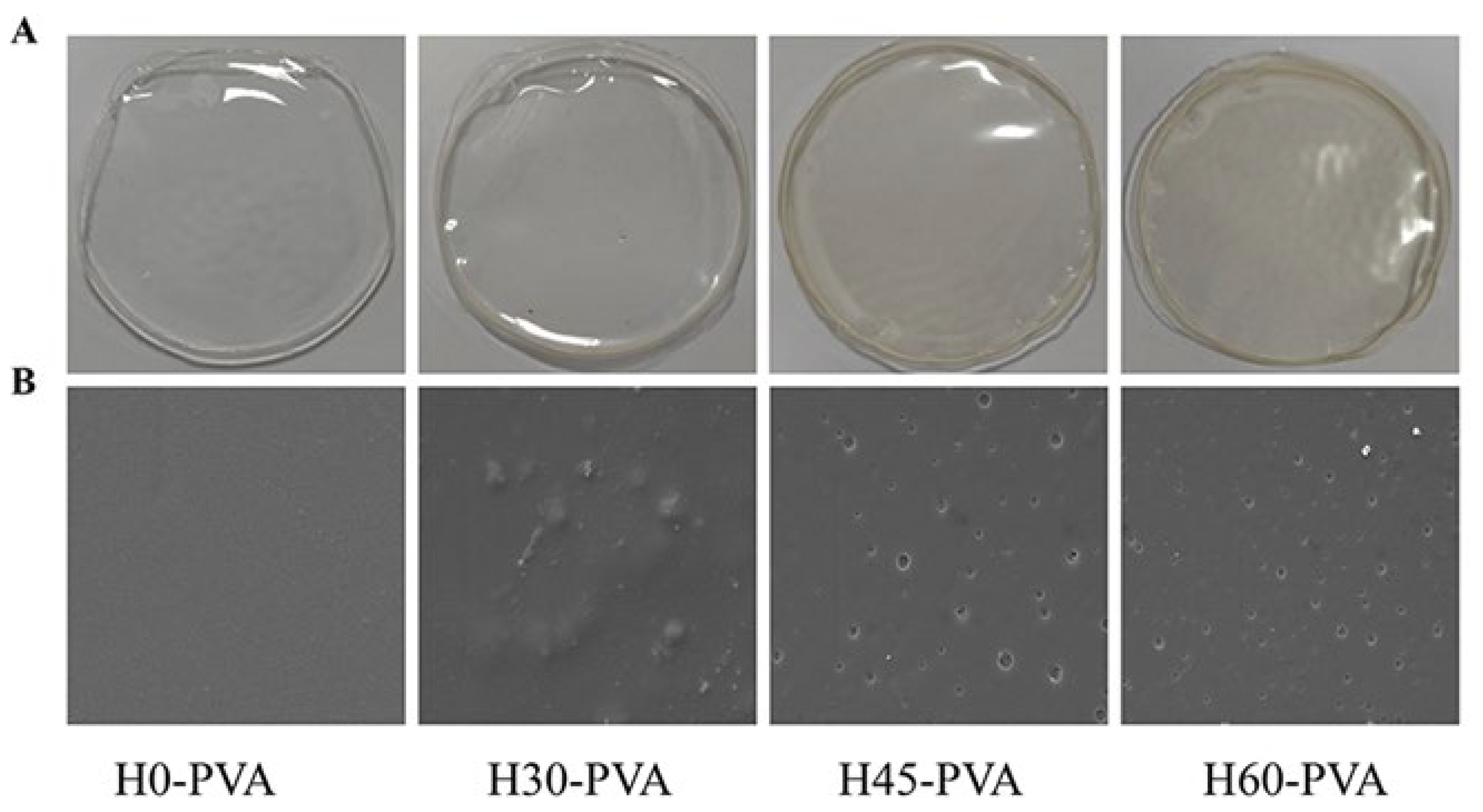 Molecules 28 00046 g004 Molecules 28 00046 g004