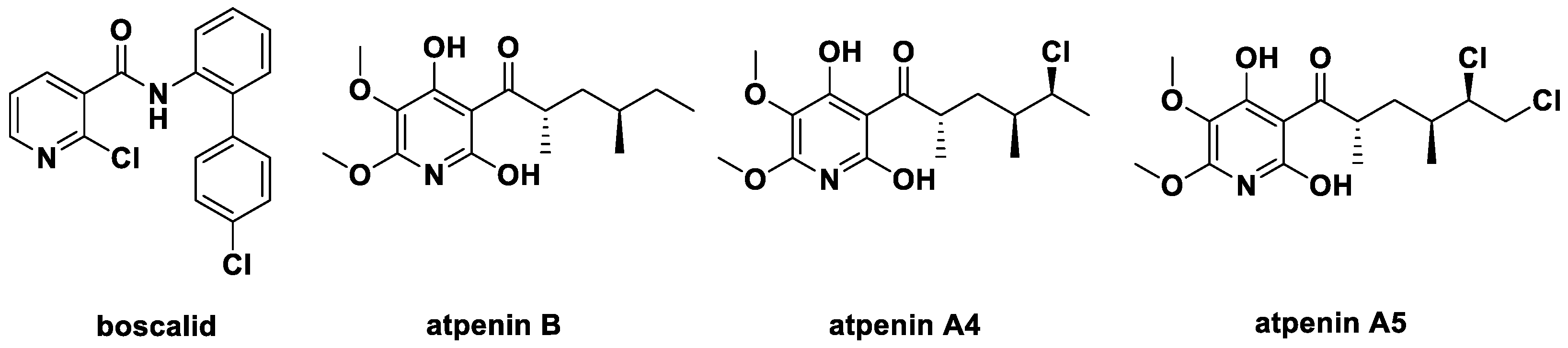 Molecules 28 00047 g002
