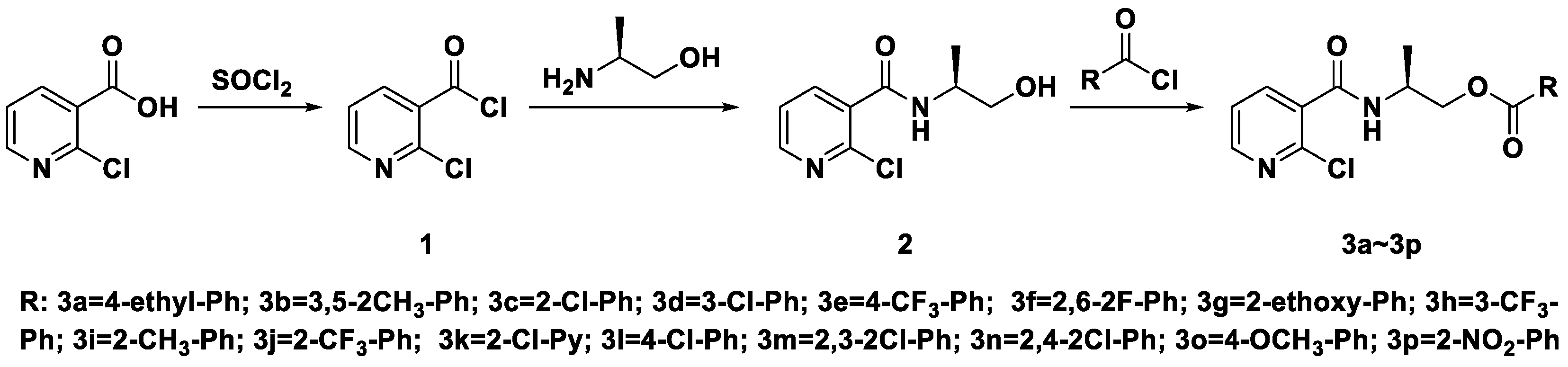 Molecules 28 00047 sch001