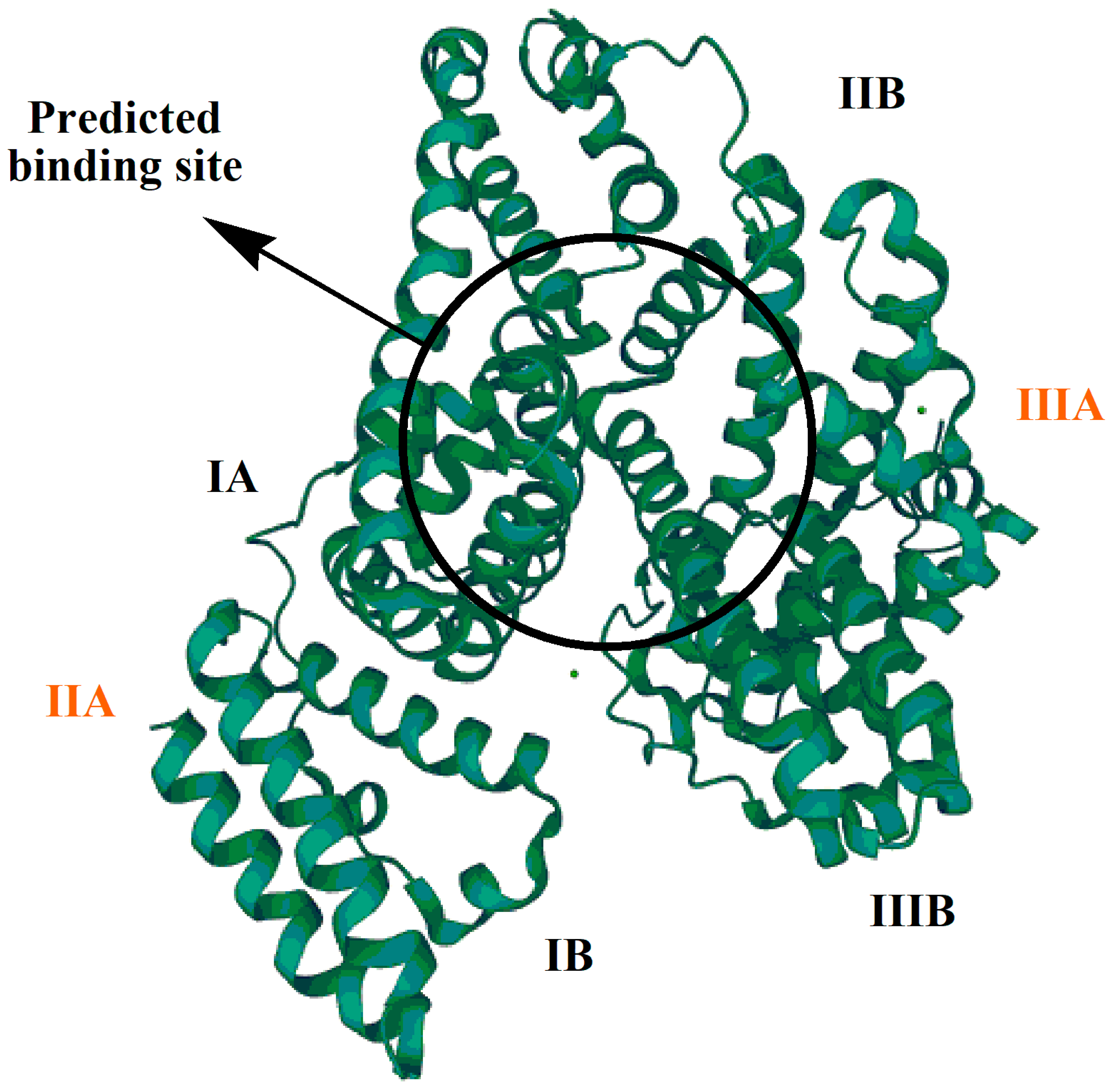 Molecules 28 00049 g001 Molecules 28 00049 g001