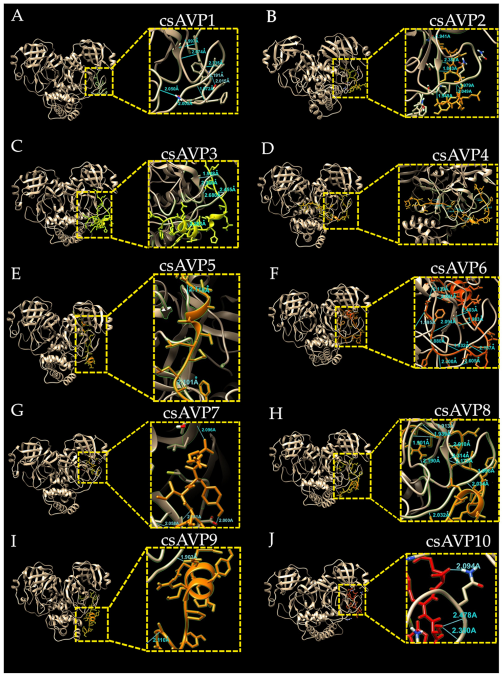 Molecules 28 00050 g005