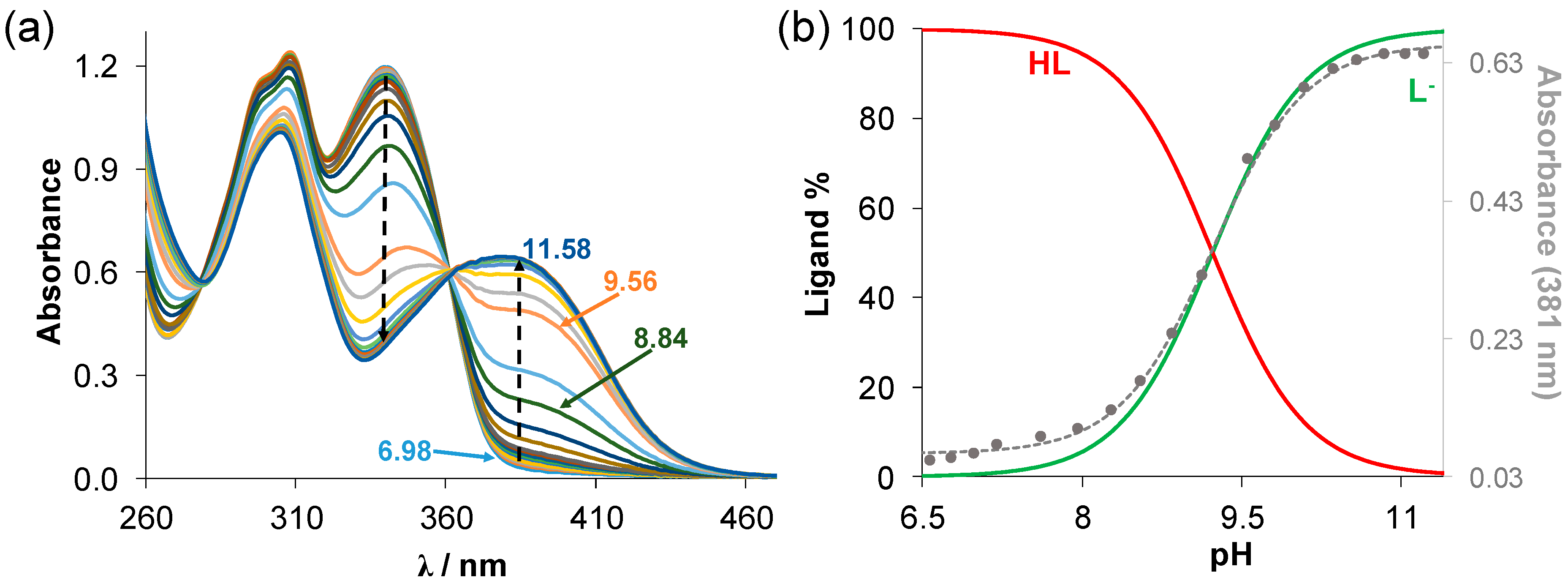 Molecules 28 00054 g001