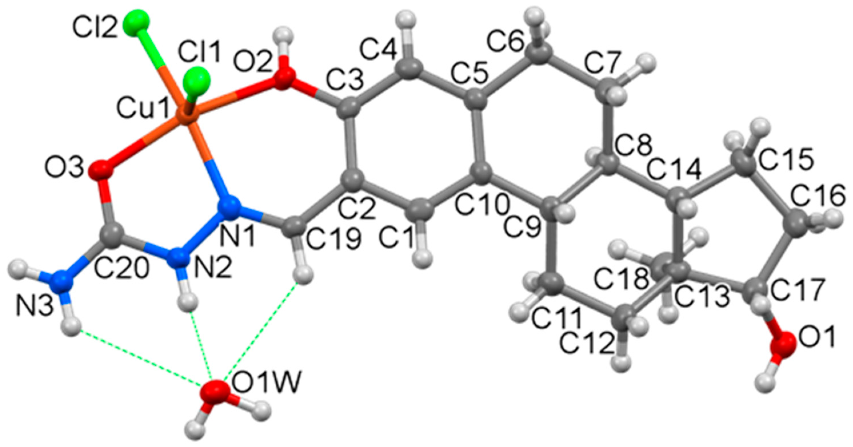 Molecules 28 00054 g004