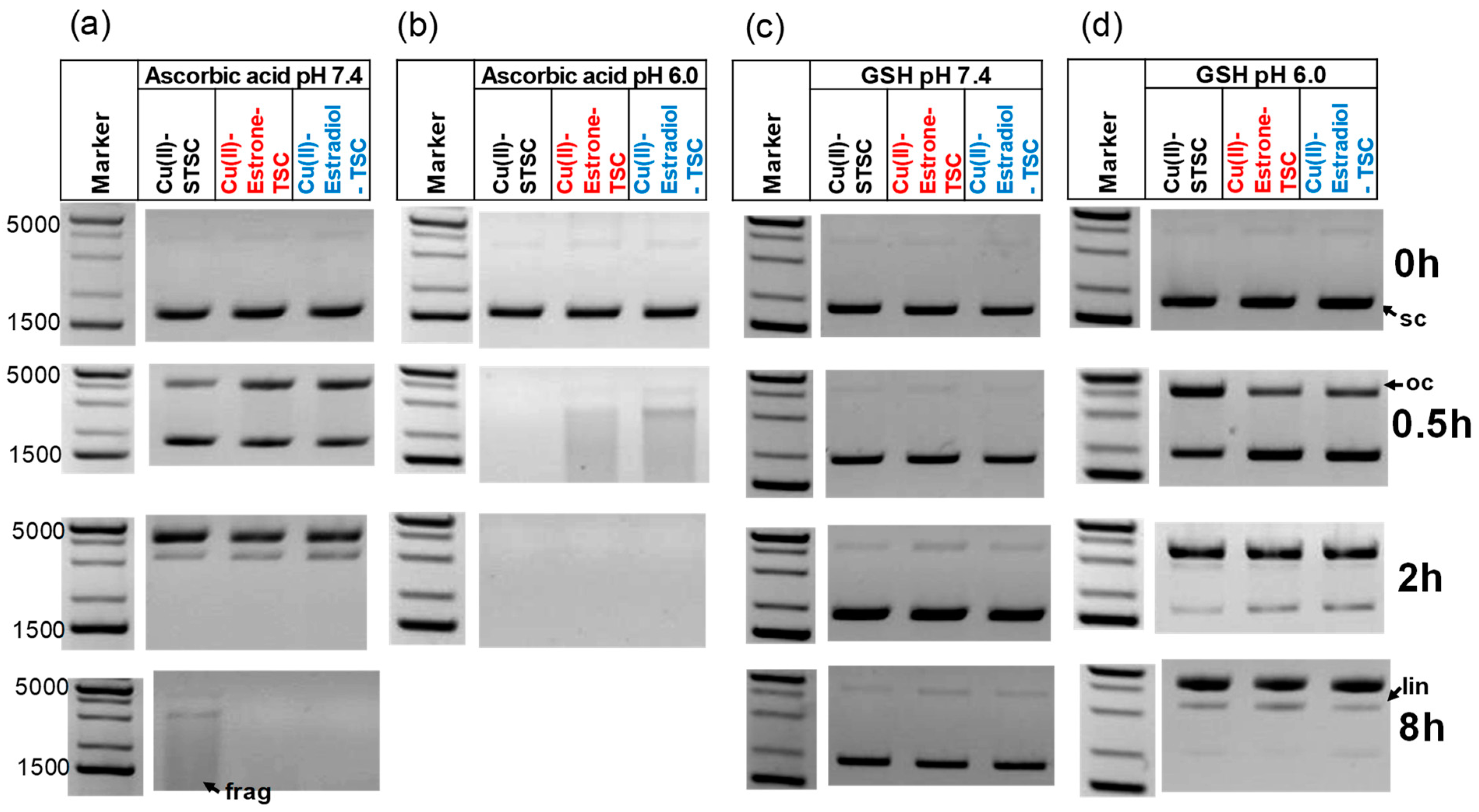 Molecules 28 00054 g009