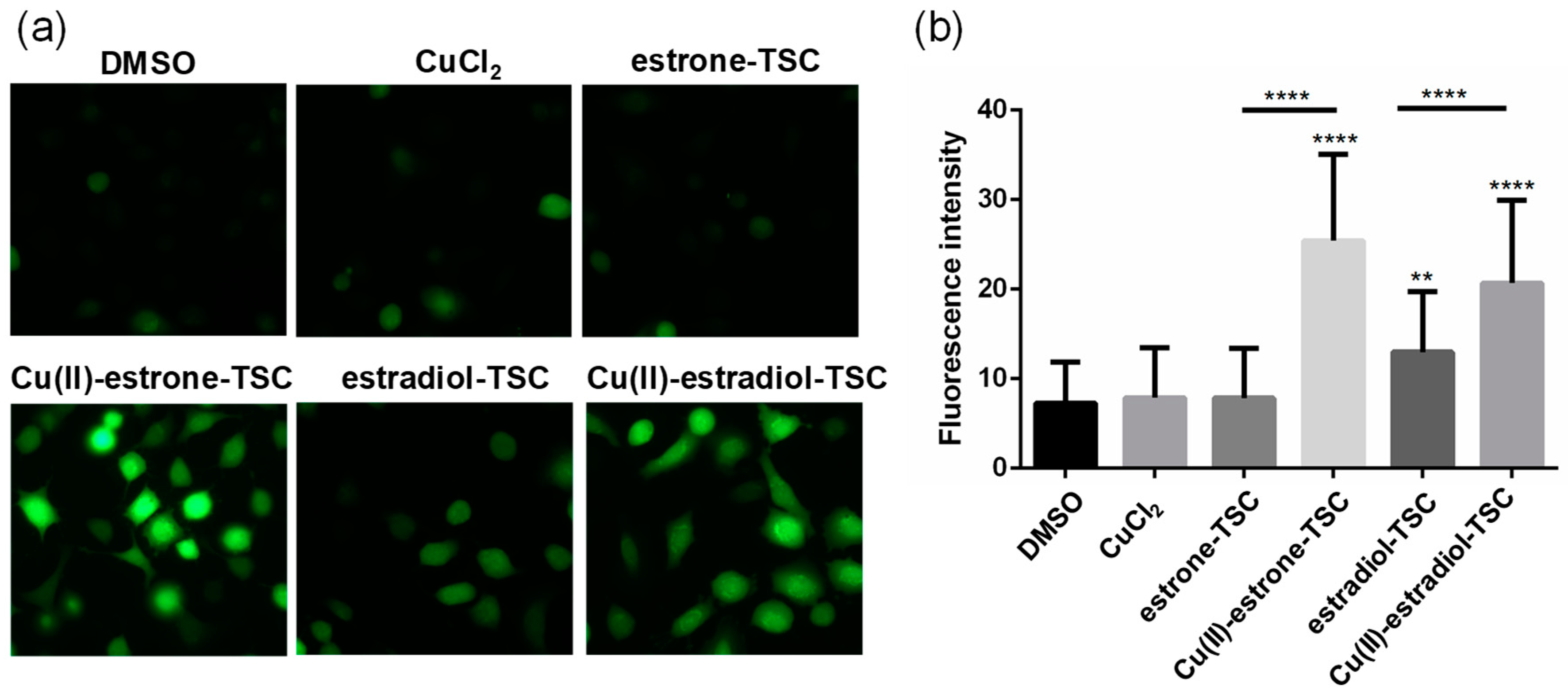 Molecules 28 00054 g011