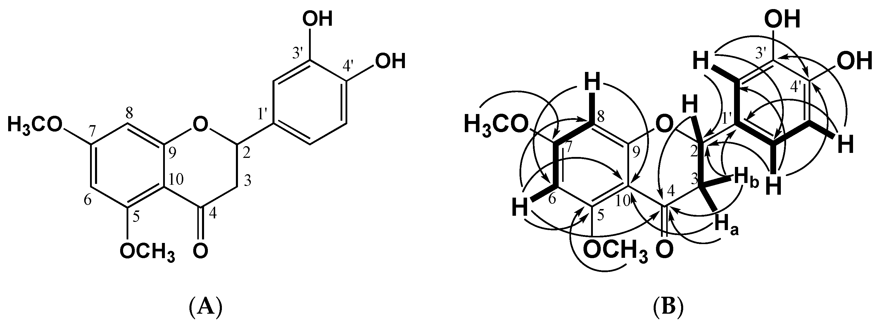 Molecules 28 00058 g001 Molecules 28 00058 g001