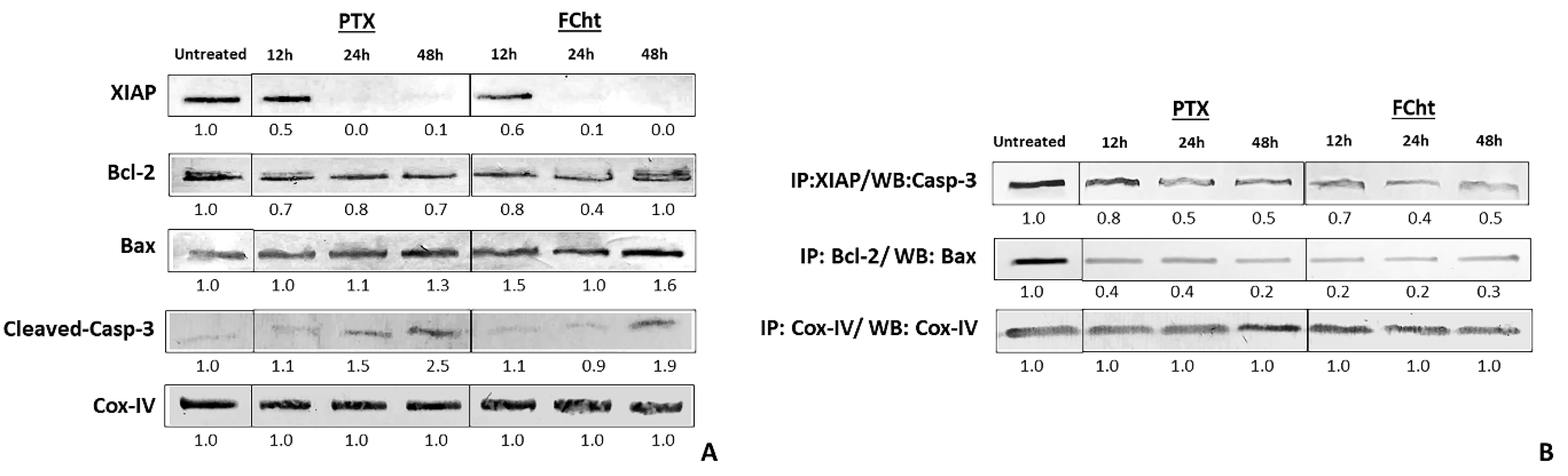 Molecules 28 00058 g005 Molecules 28 00058 g005