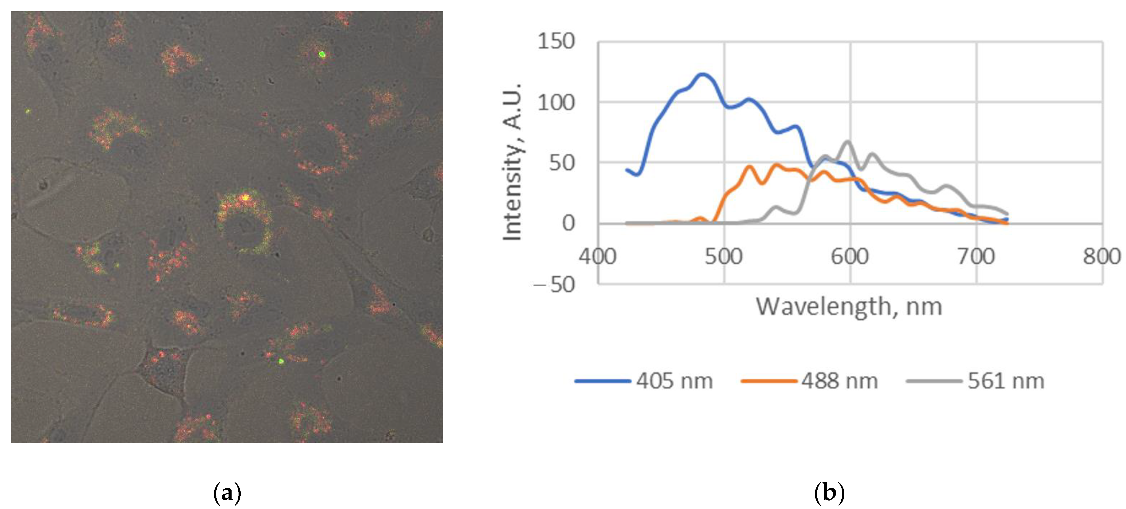Molecules 28 00059 g005