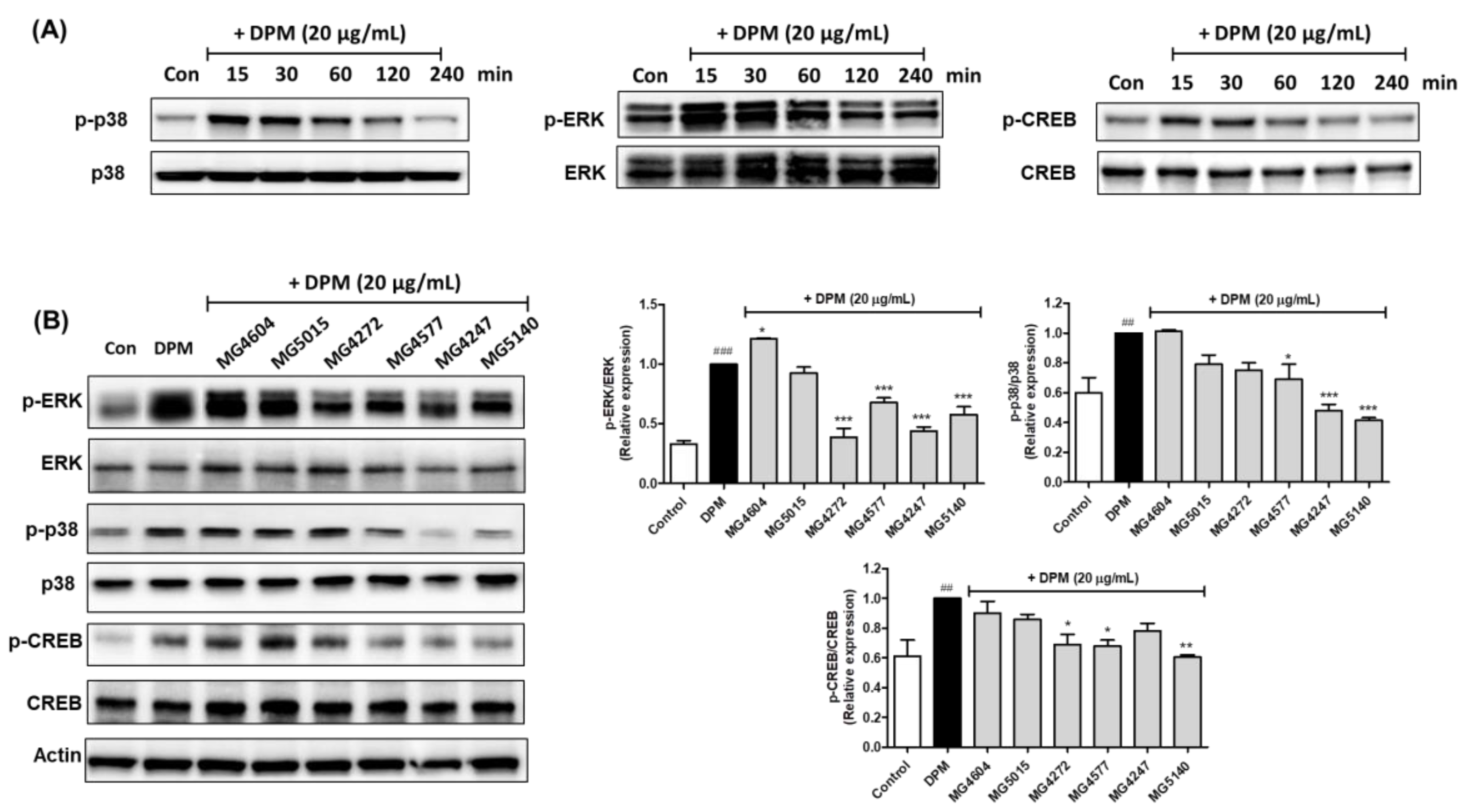 Molecules 28 00061 g004 Molecules 28 00061 g004