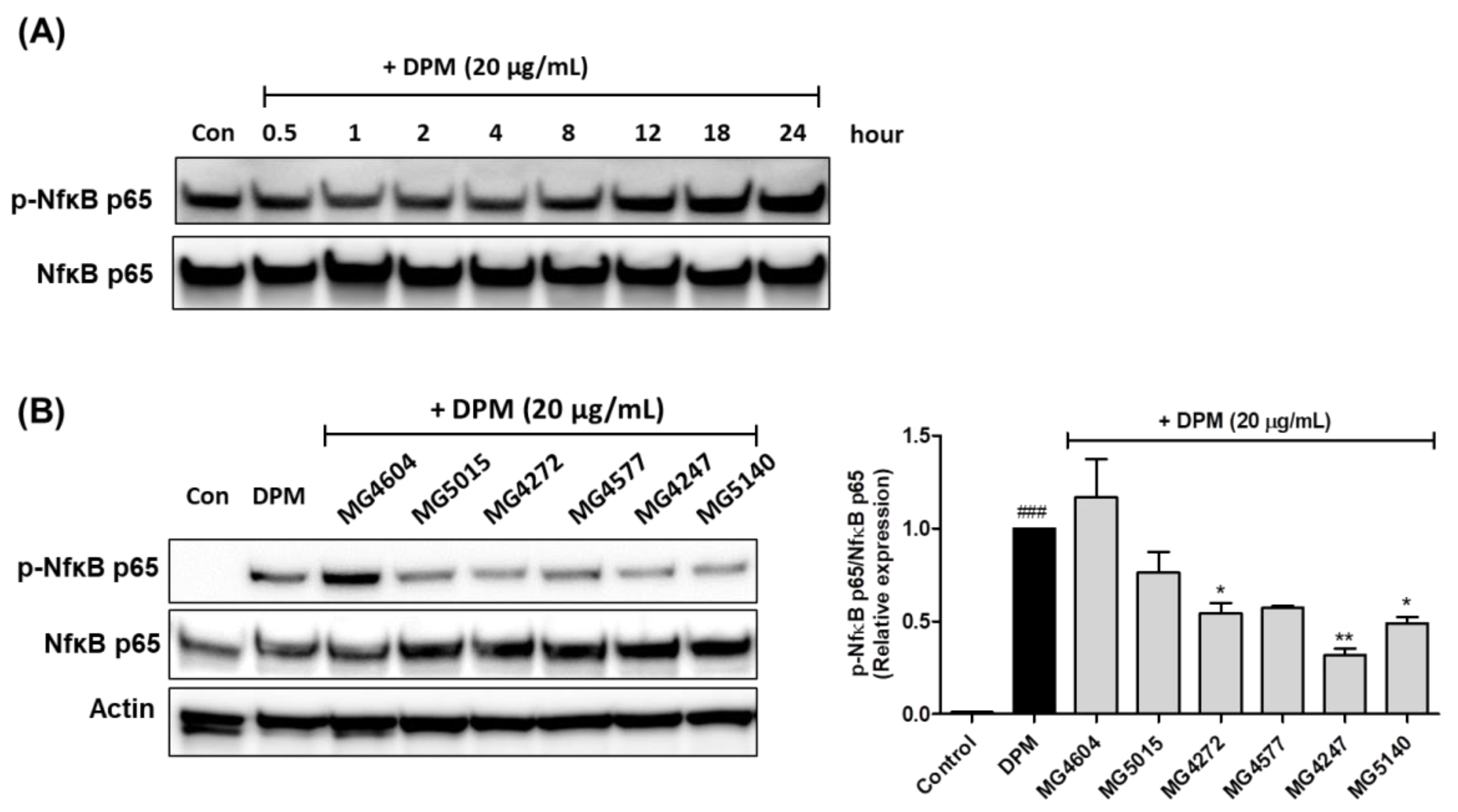 Molecules 28 00061 g005 Molecules 28 00061 g005