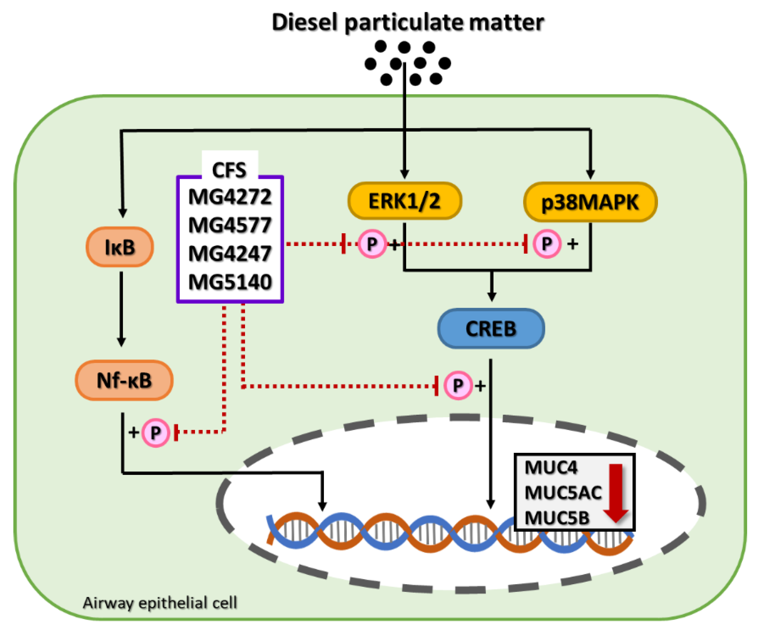 Molecules 28 00061 g006 Molecules 28 00061 g006