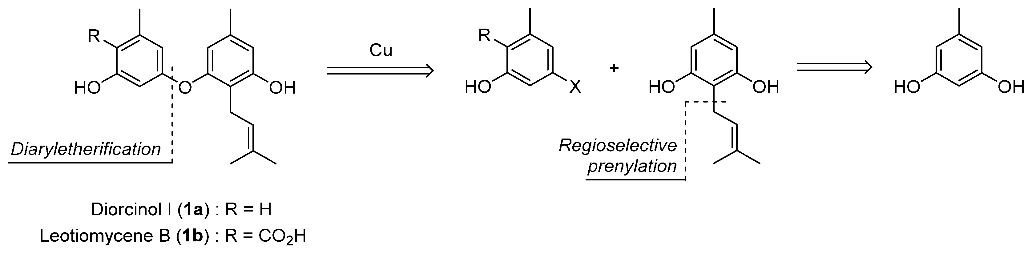 Molecules 28 00062 g002 Molecules 28 00062 g002