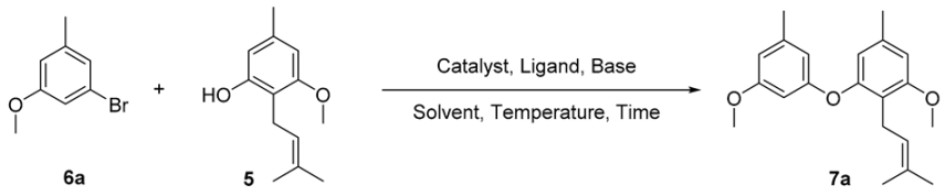 Molecules 28 00062 i001 Molecules 28 00062 i001