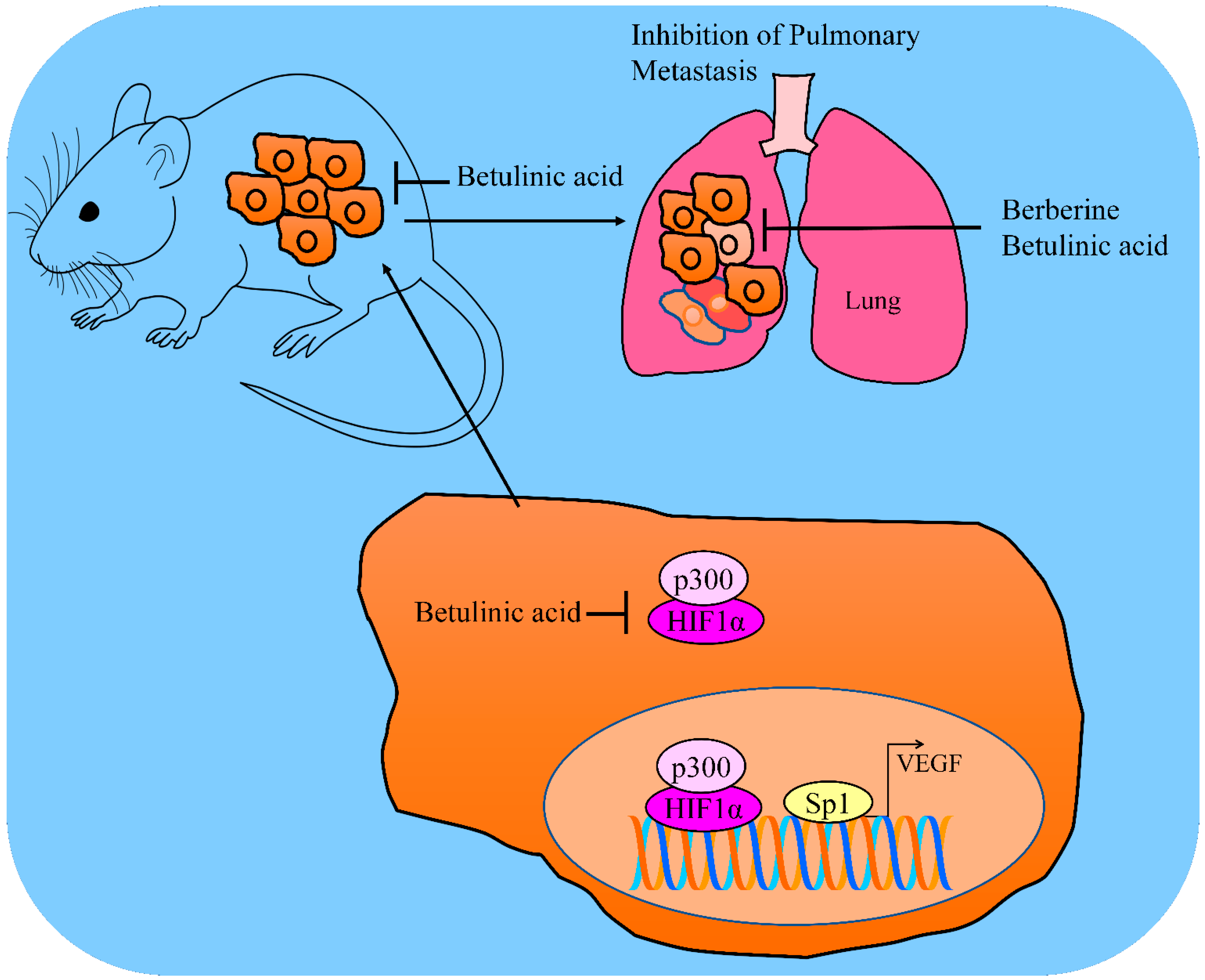 Molecules 28 00067 g002