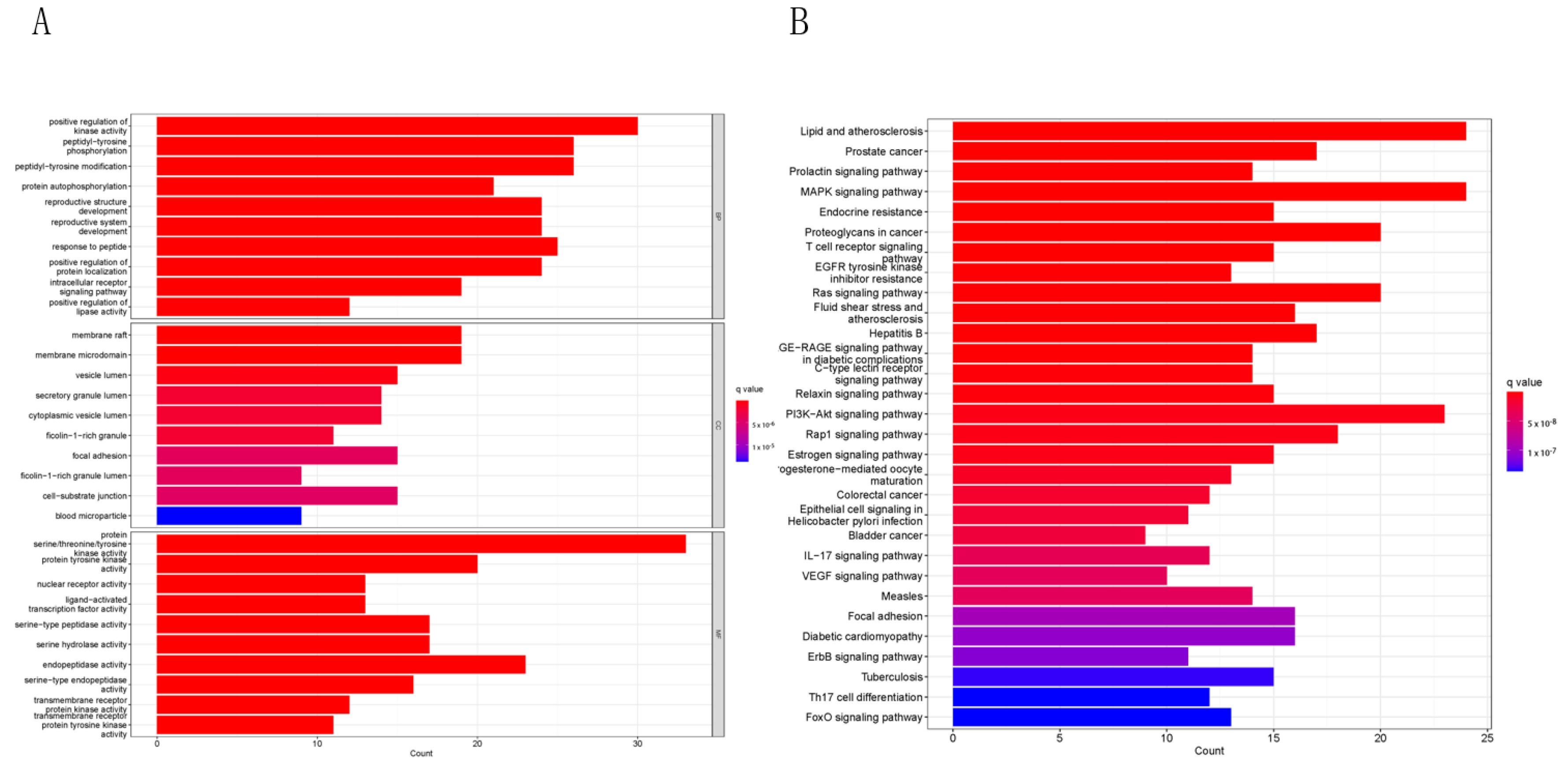 Molecules 28 00068 g003
