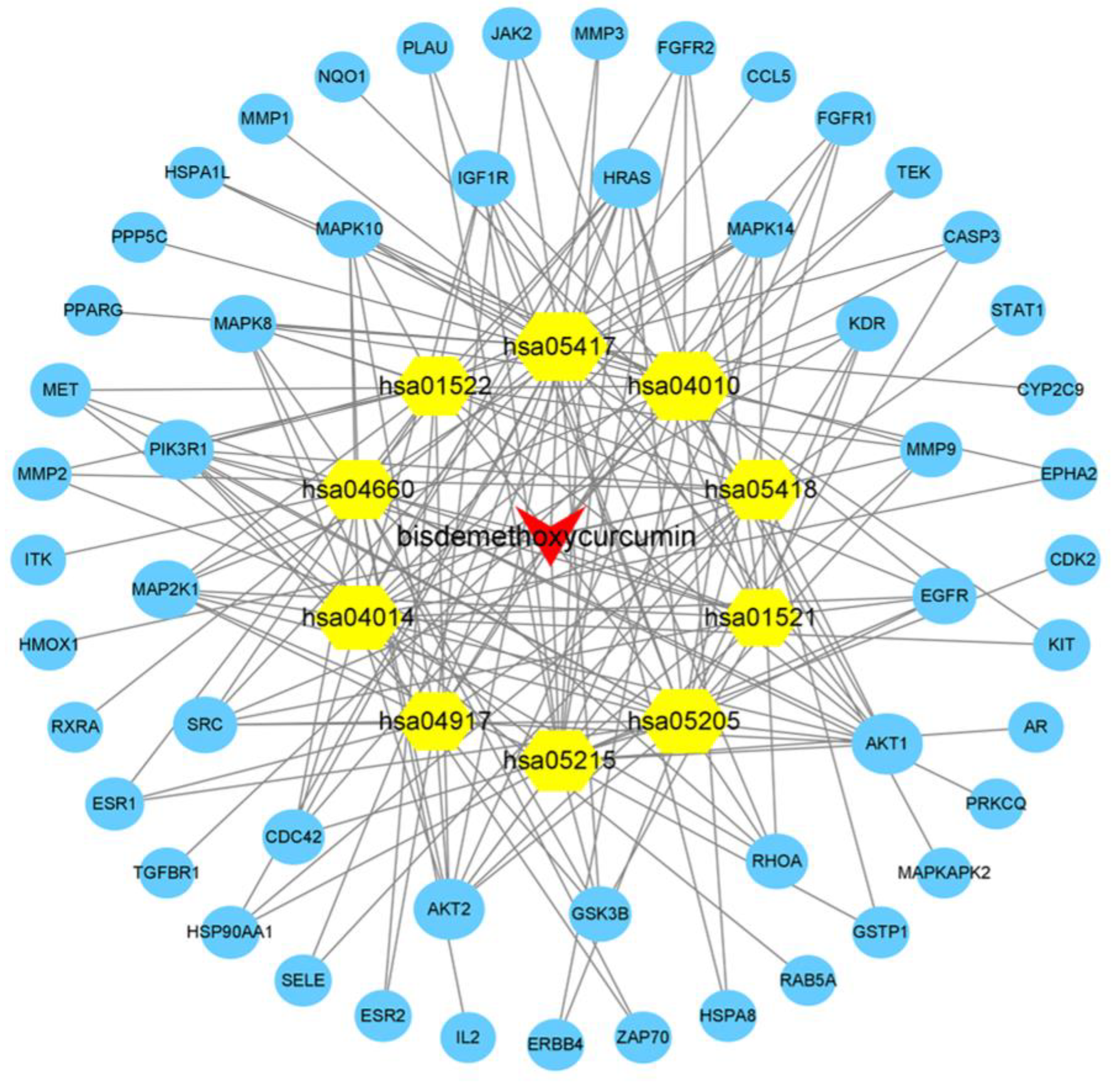 Molecules 28 00068 g004