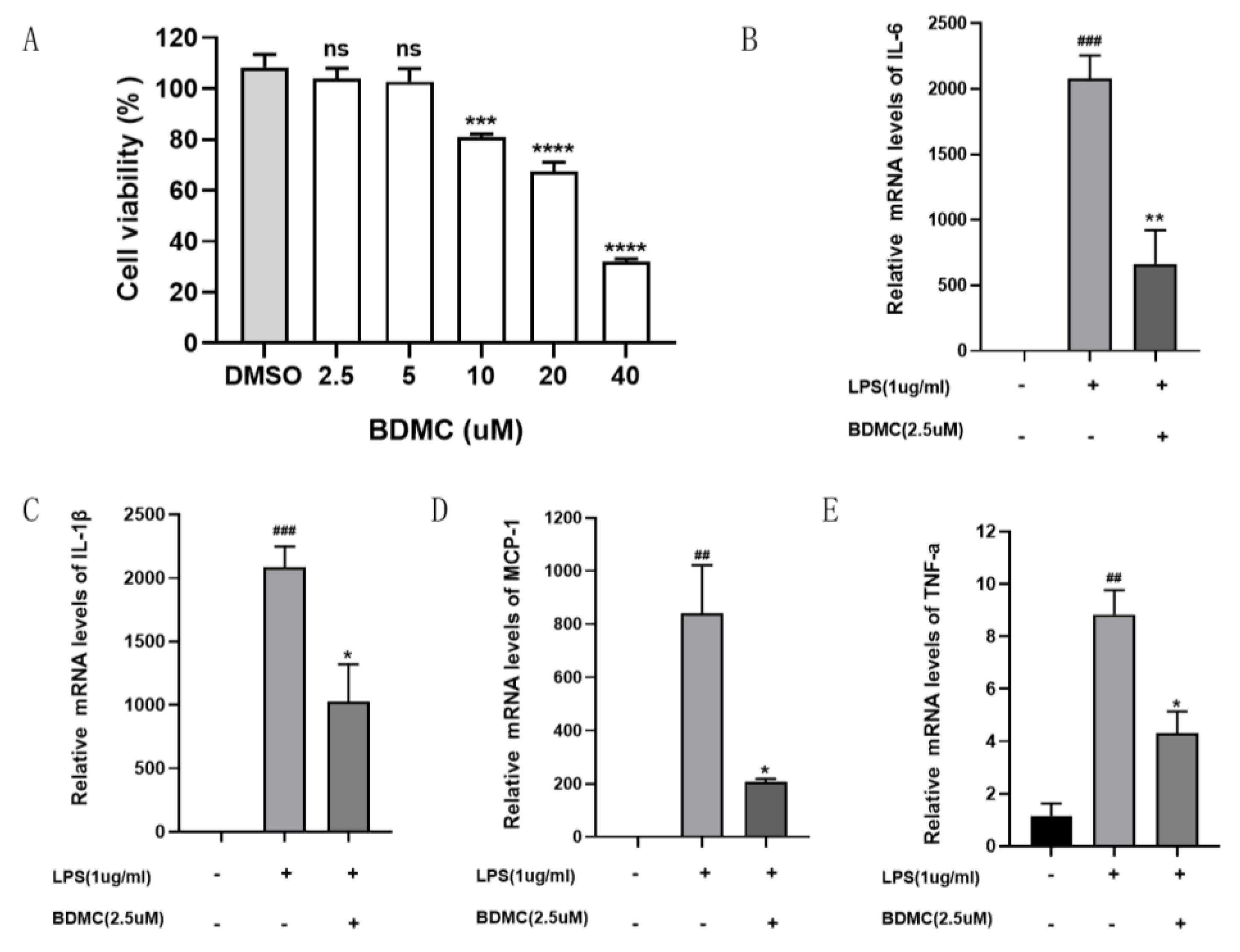 Molecules 28 00068 g006