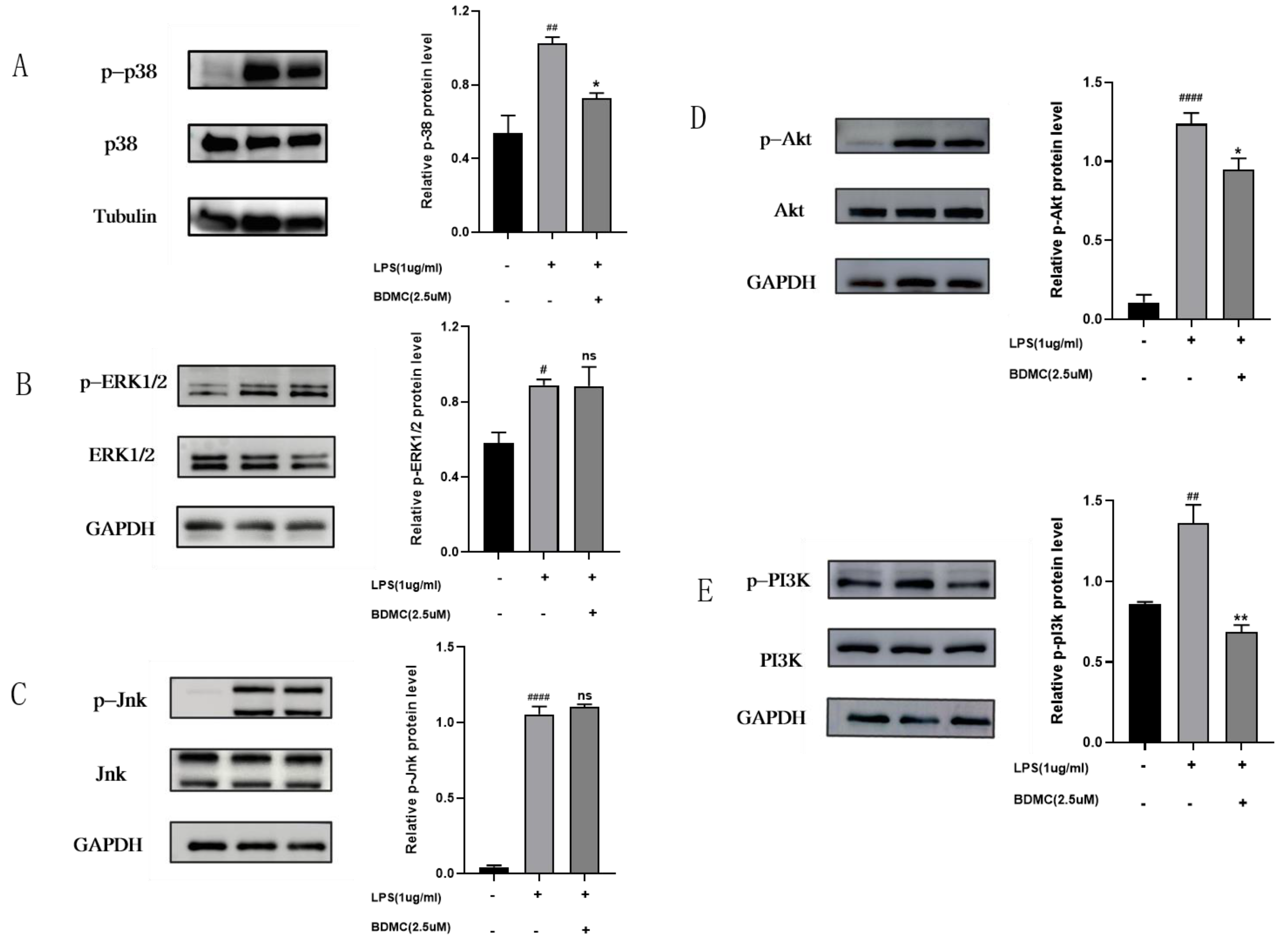 Molecules 28 00068 g007