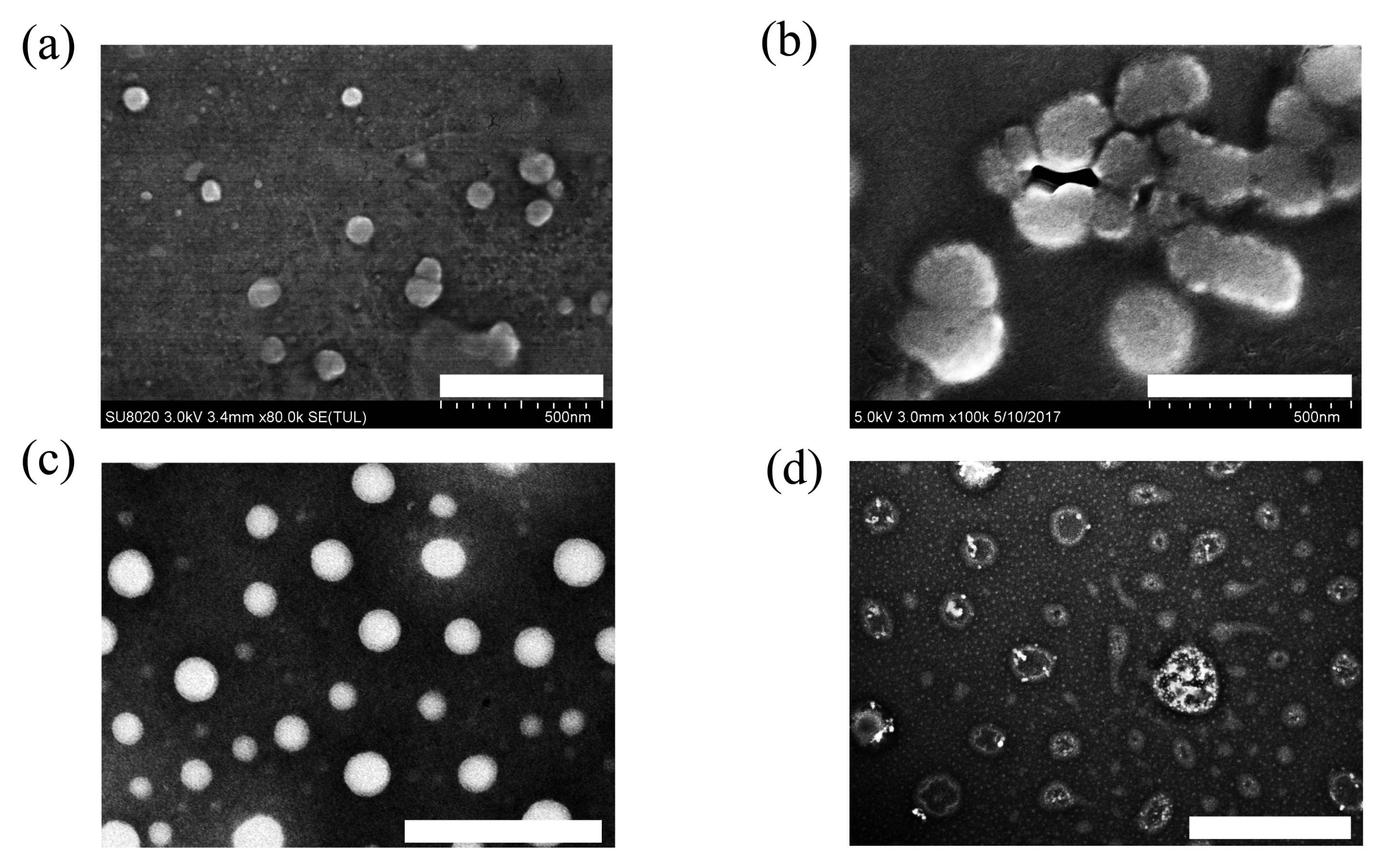 Molecules 28 00069 g002 Molecules 28 00069 g002