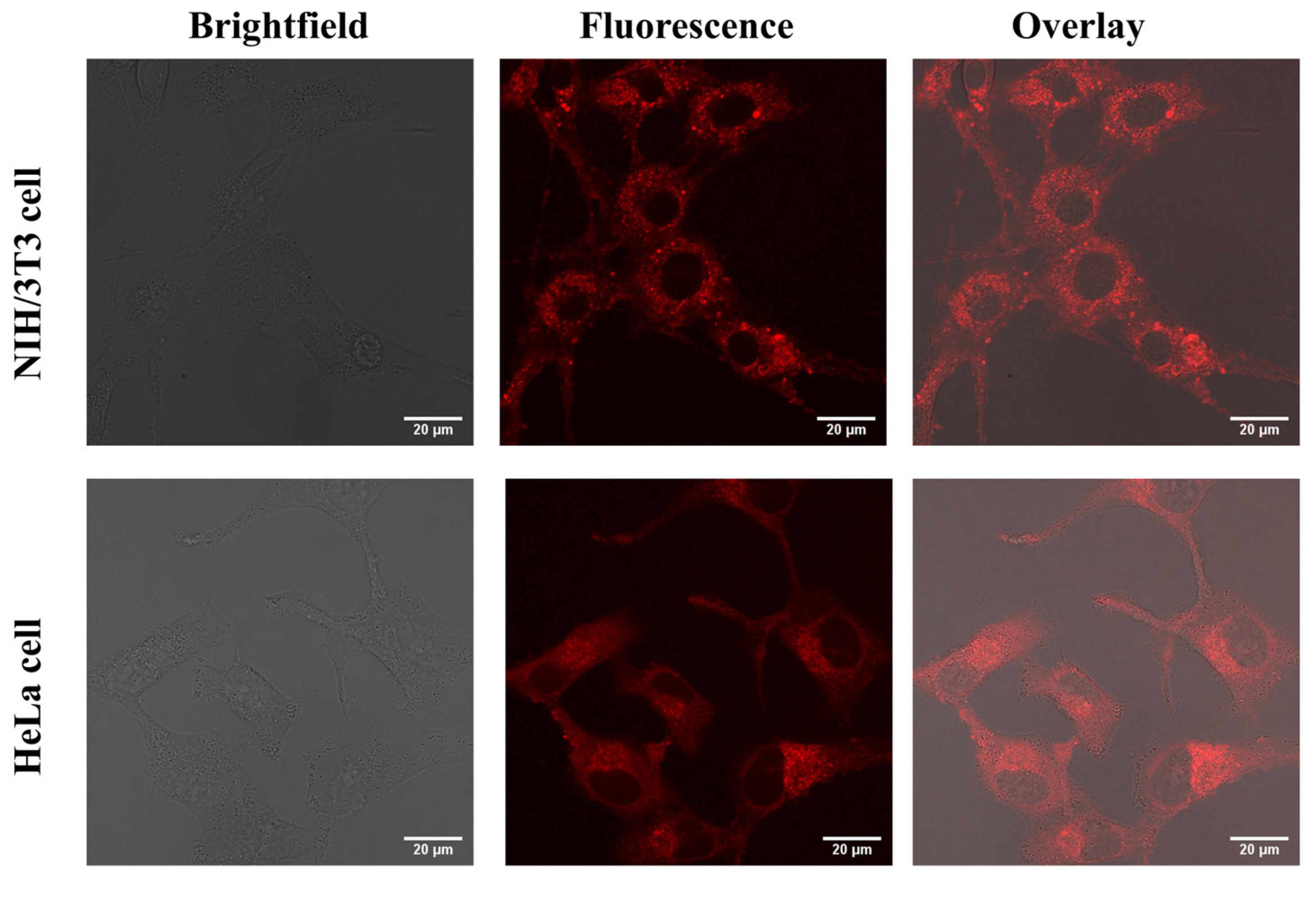 Molecules 28 00070 g007 Molecules 28 00070 g007